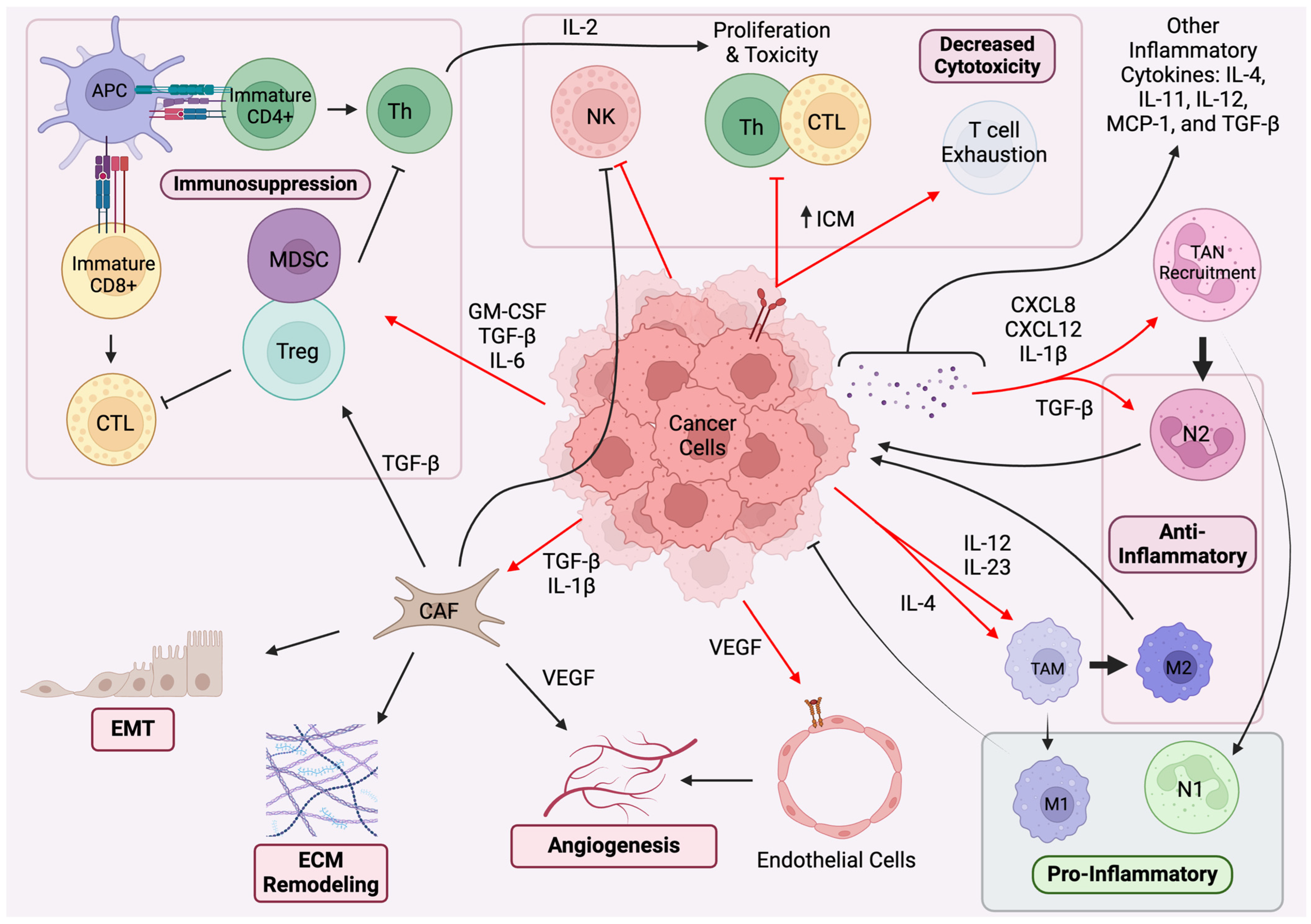 Cancers 16 01113 g001