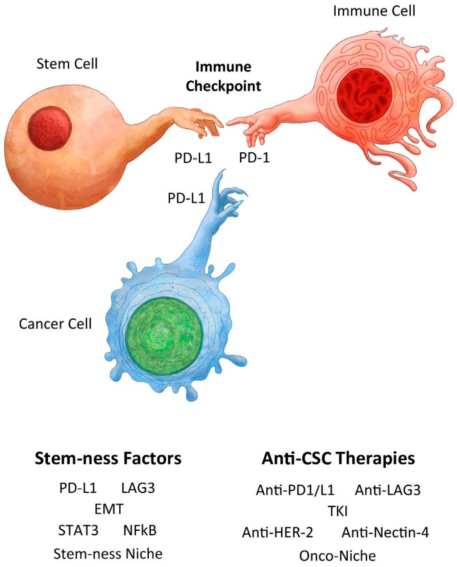 Cancers 16 01151 g001