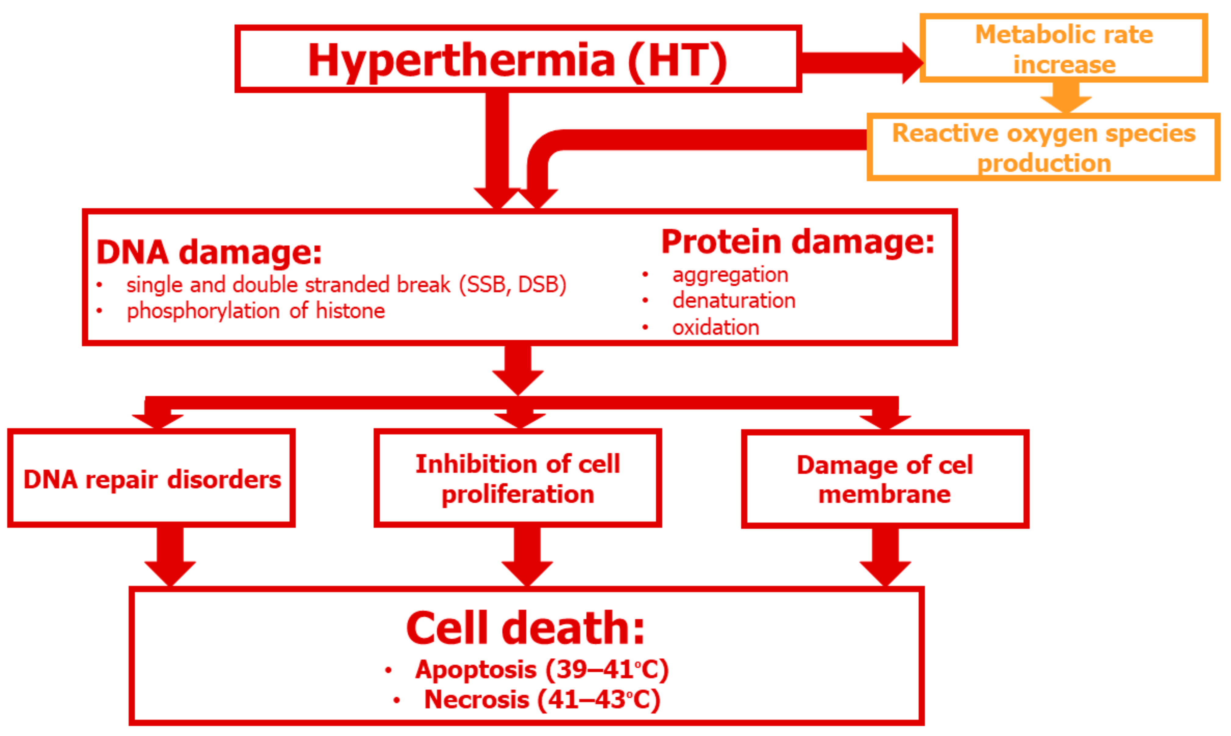 Cancers 16 01156 g002