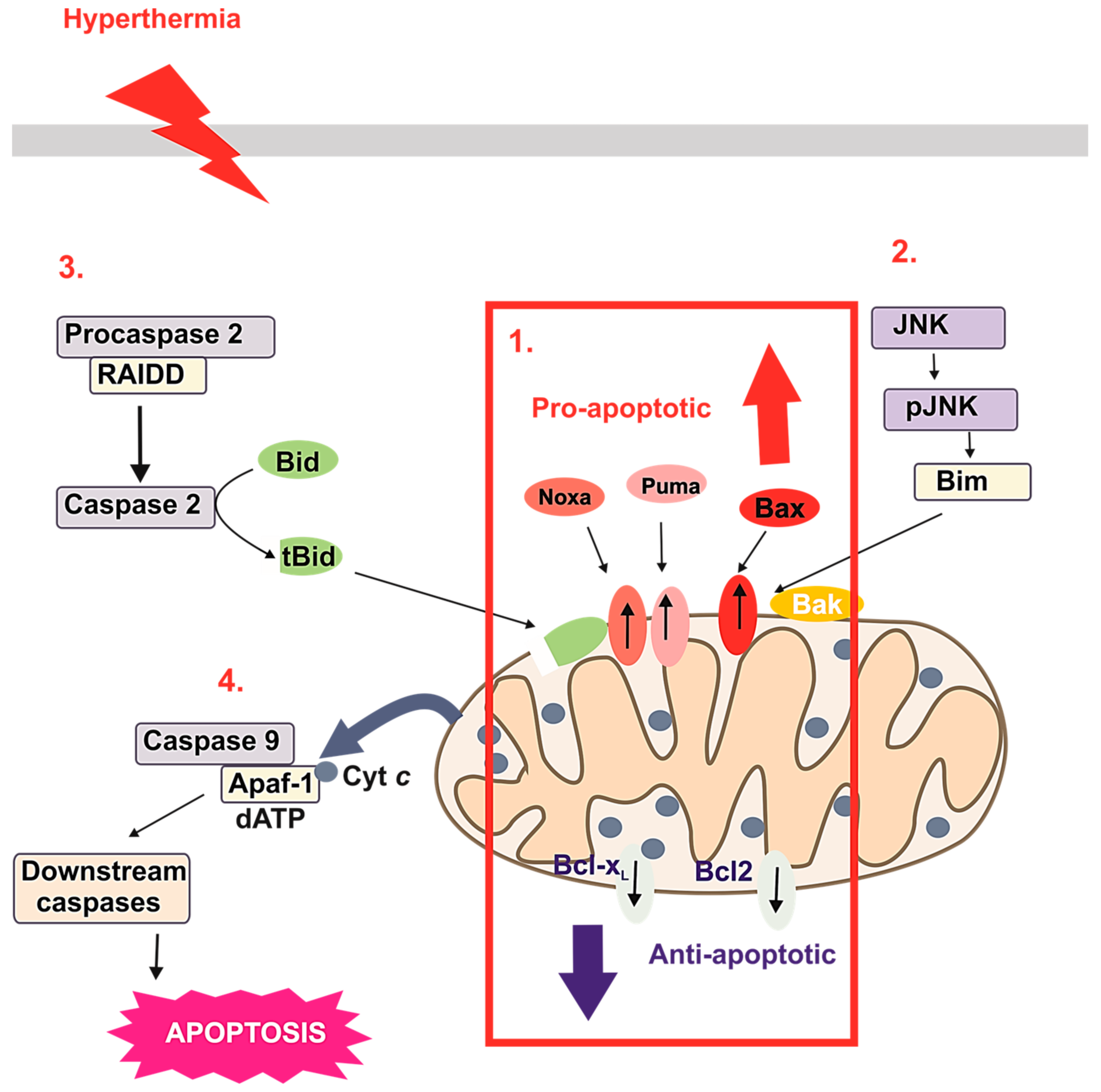 Cancers 16 01156 g003