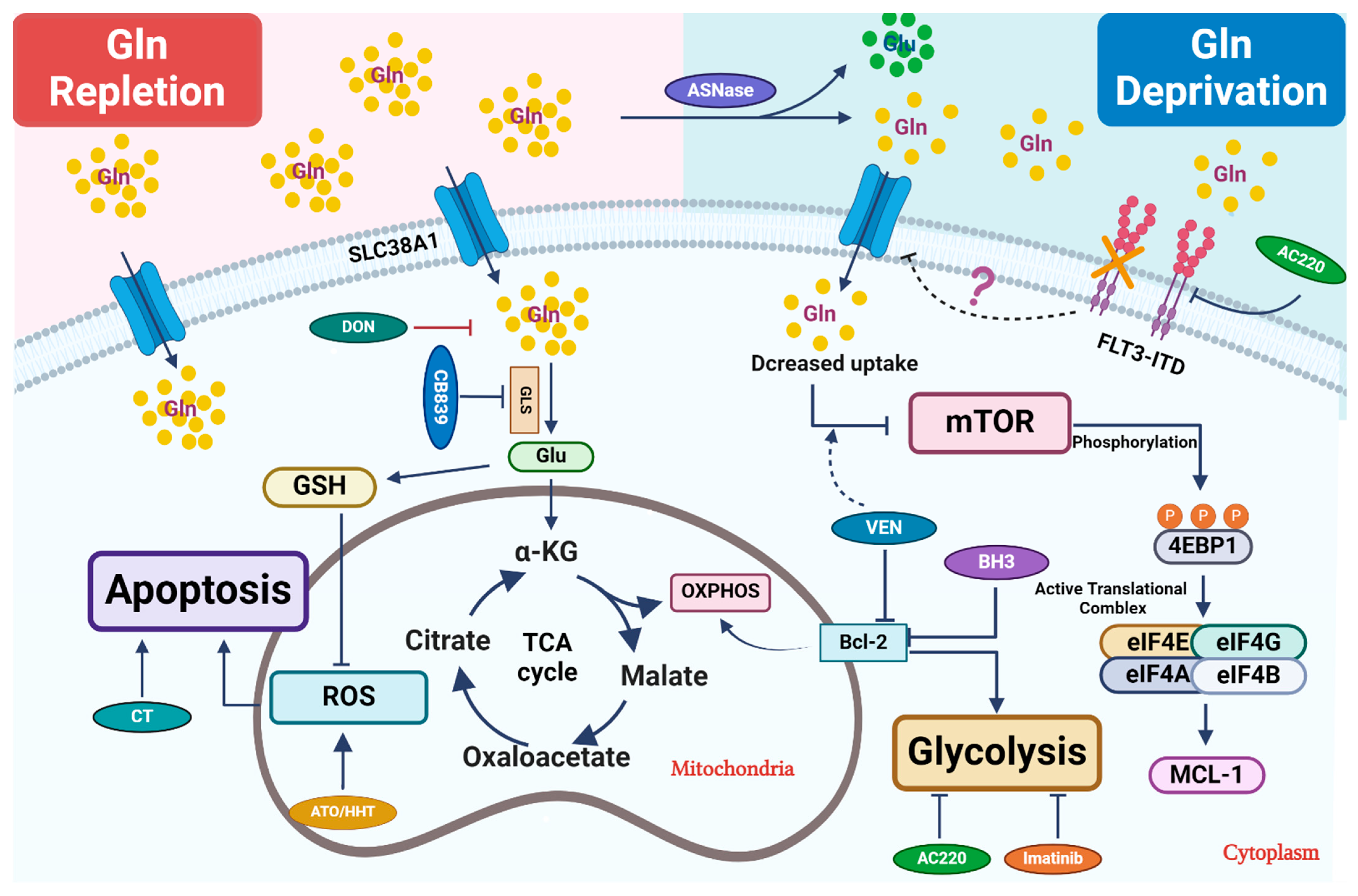 Cancers 16 01171 g001