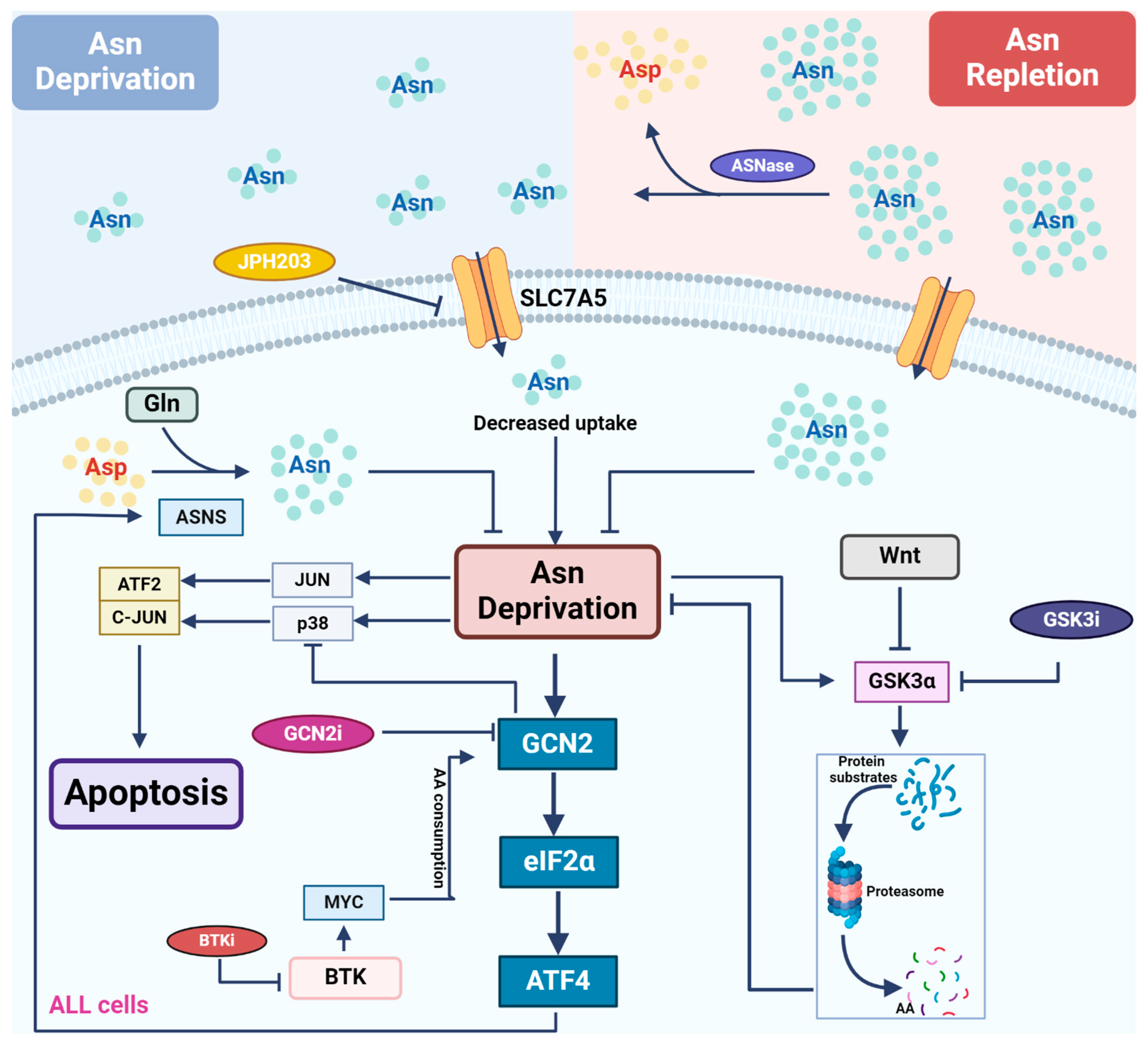 Cancers 16 01171 g002