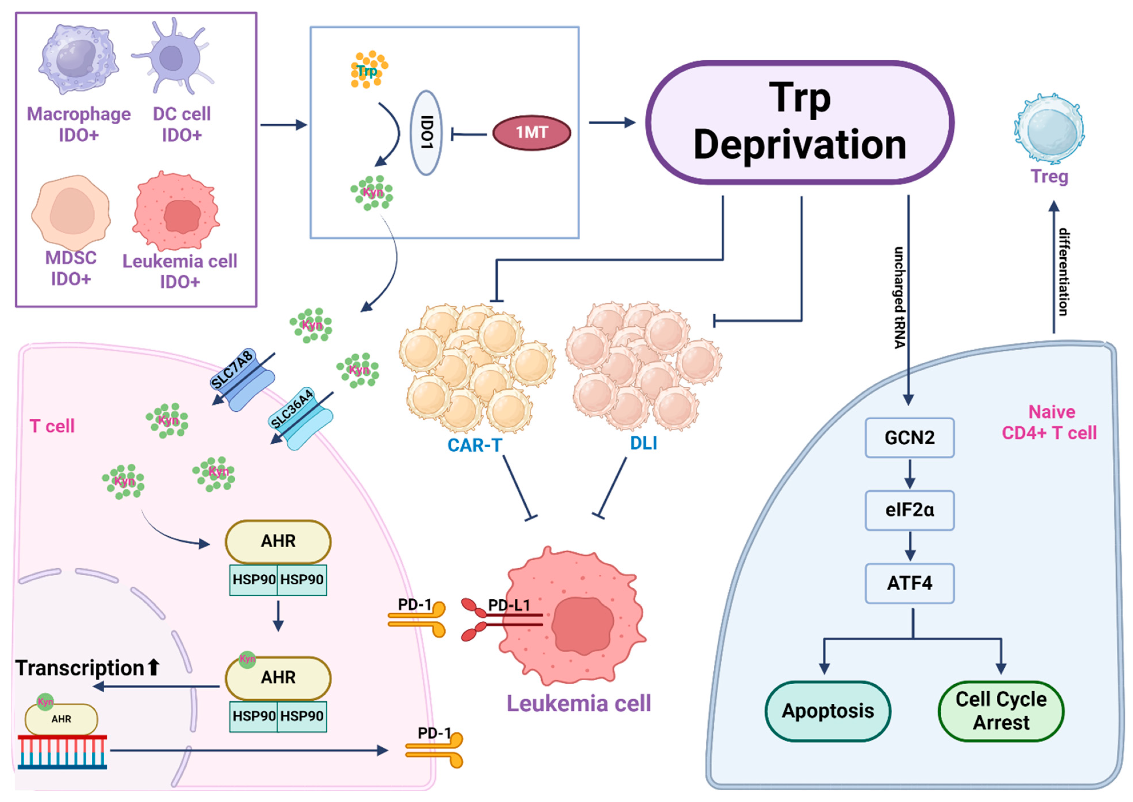 Cancers 16 01171 g004