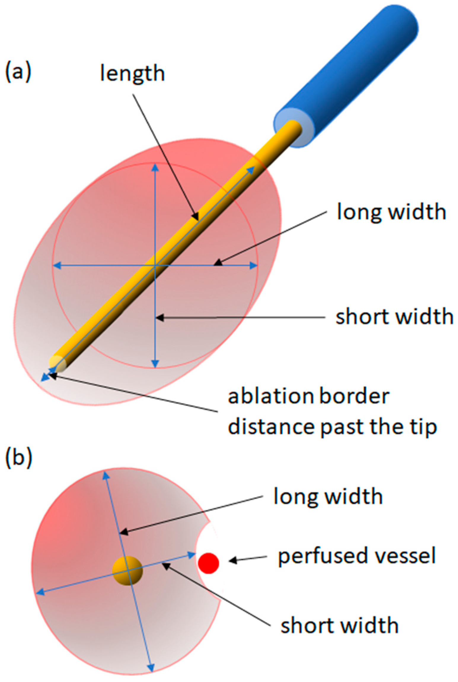 Cancers 16 01279 g001
