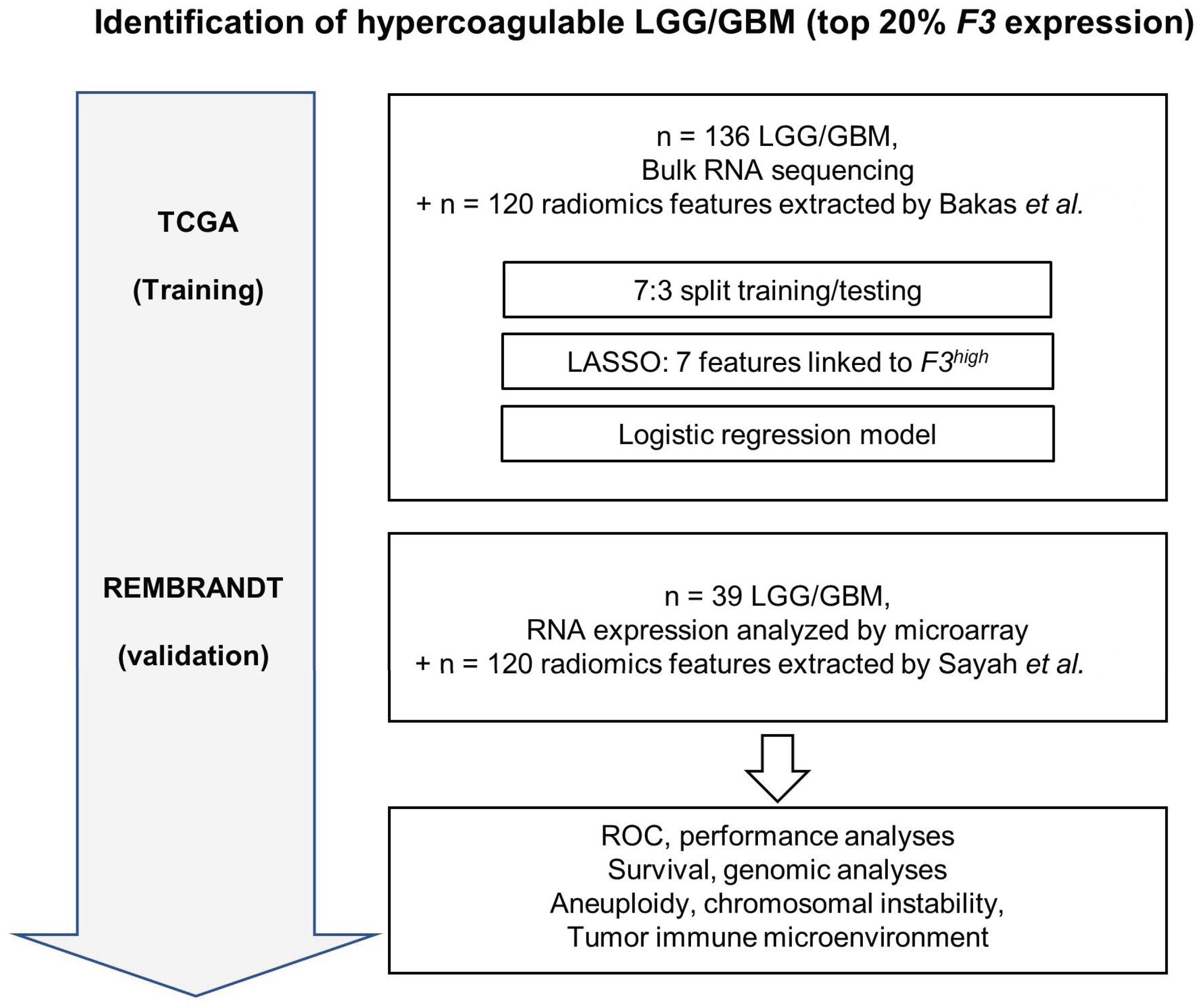 Cancers 16 01289 g001