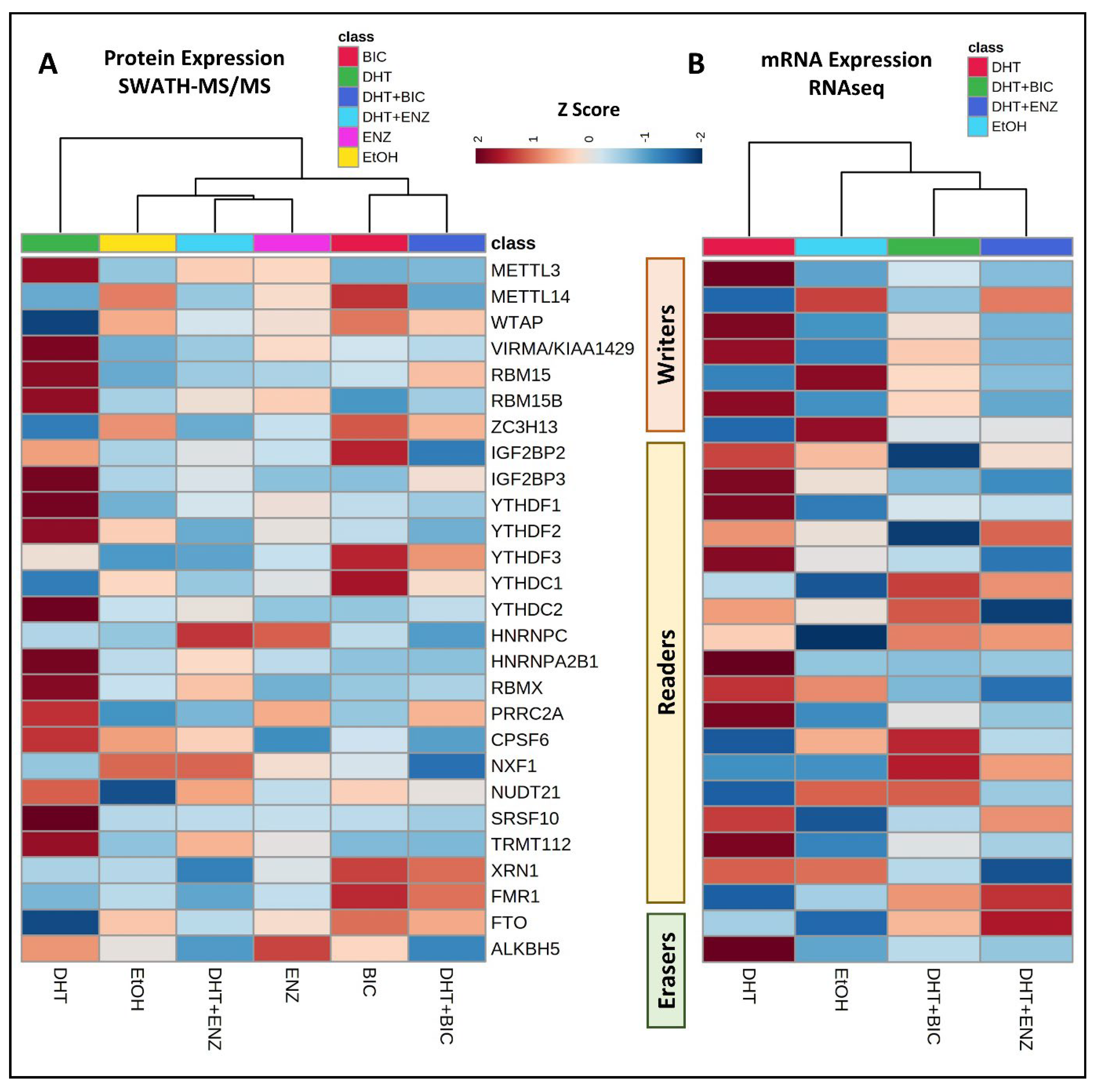 Cancers 16 01303 g002
