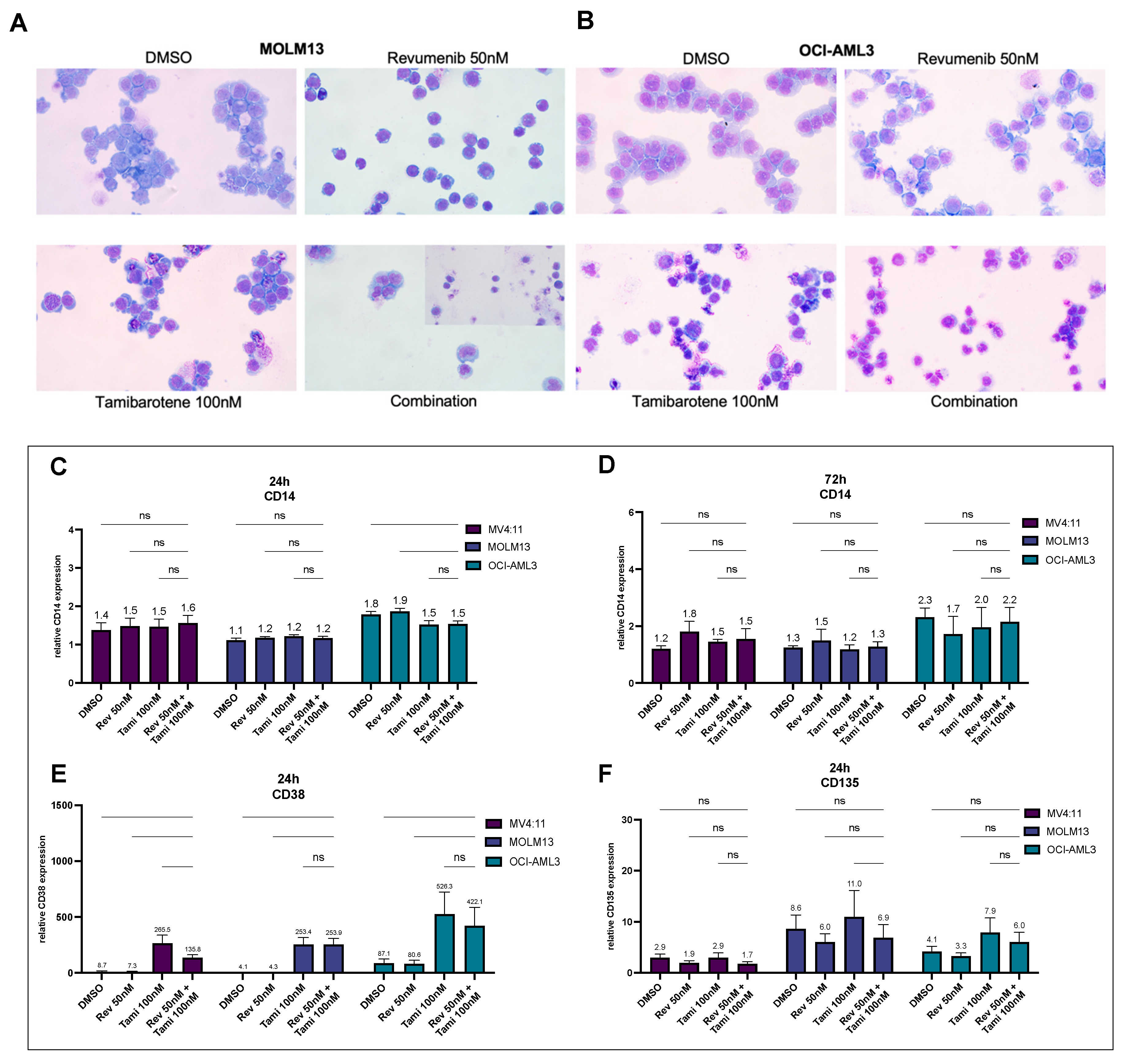 Cancers 16 01311 g003 Cancers 16 01311 g003
