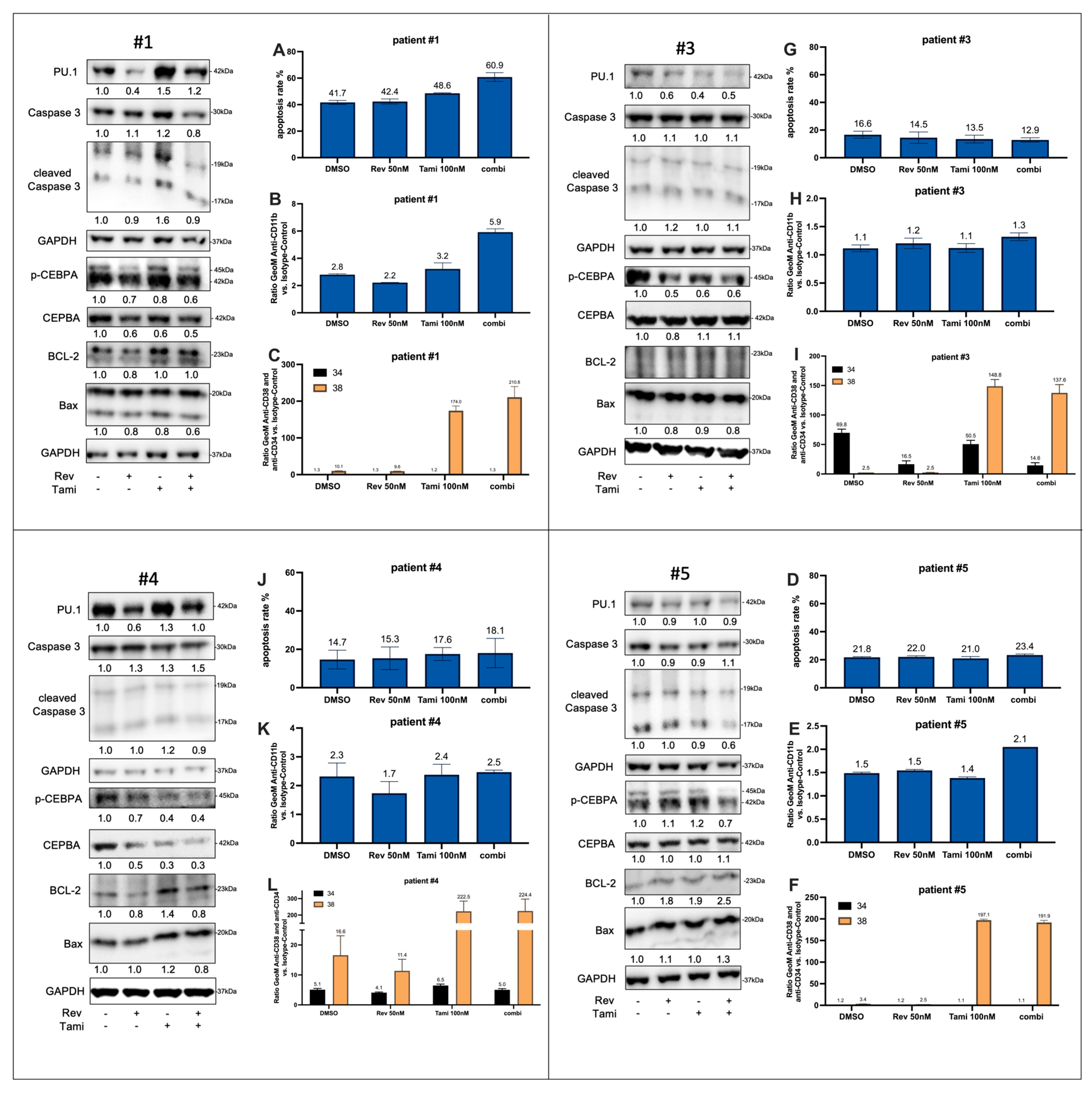 Cancers 16 01311 g006 Cancers 16 01311 g006