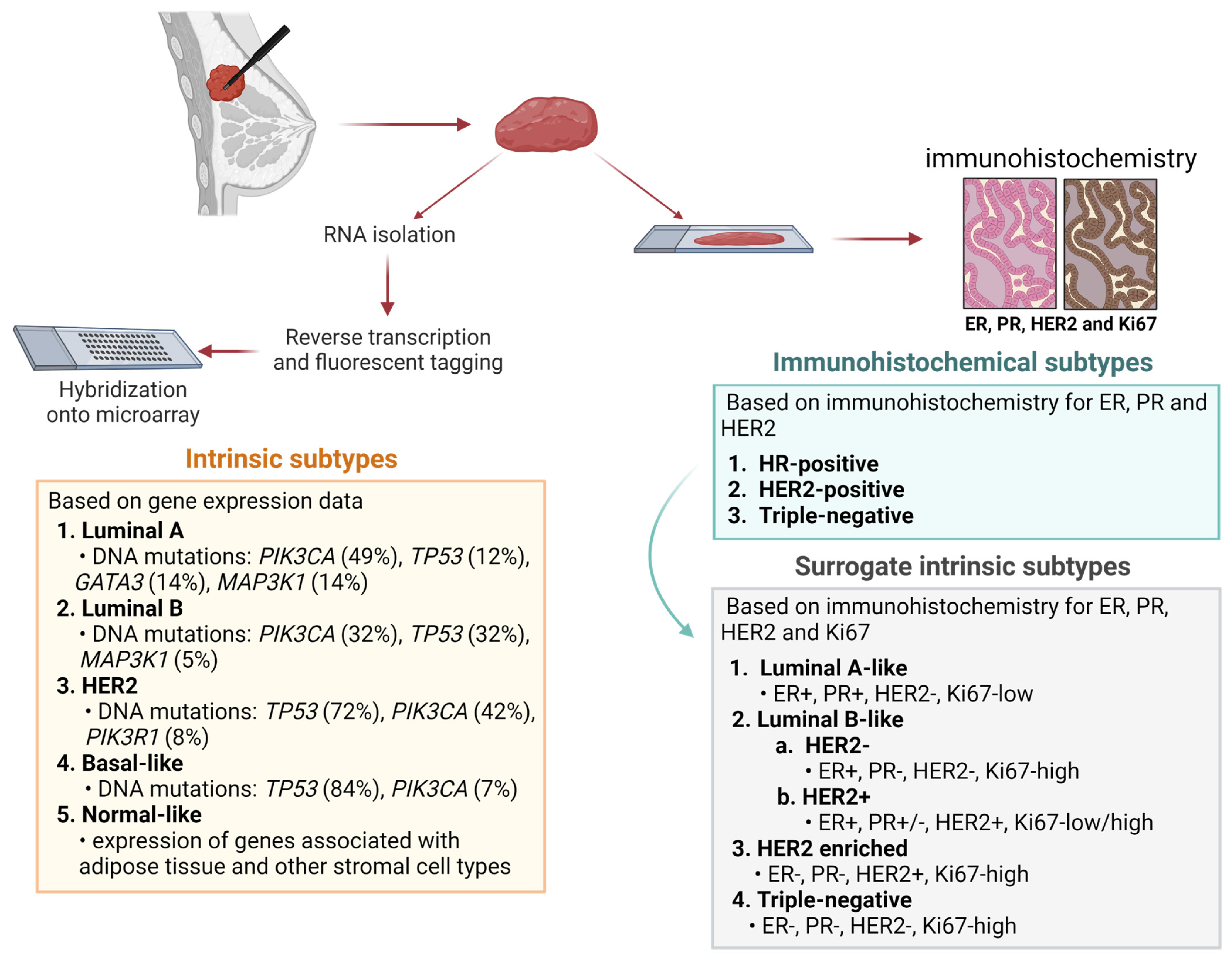 Cancers 16 01342 g001