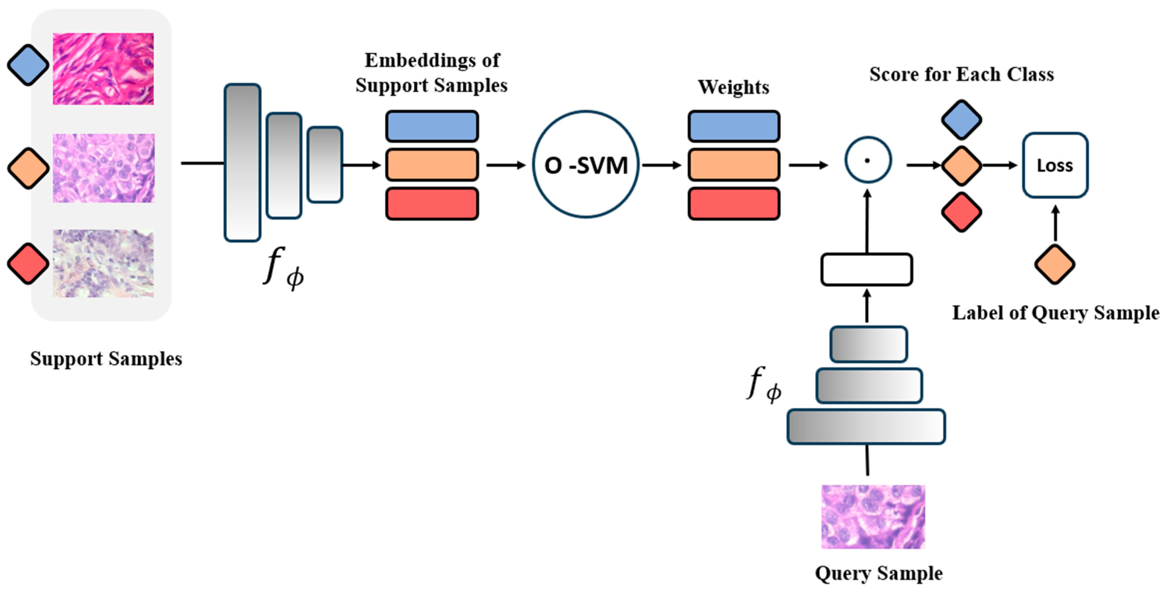 Cancers 16 01362 g002 Cancers 16 01362 g002