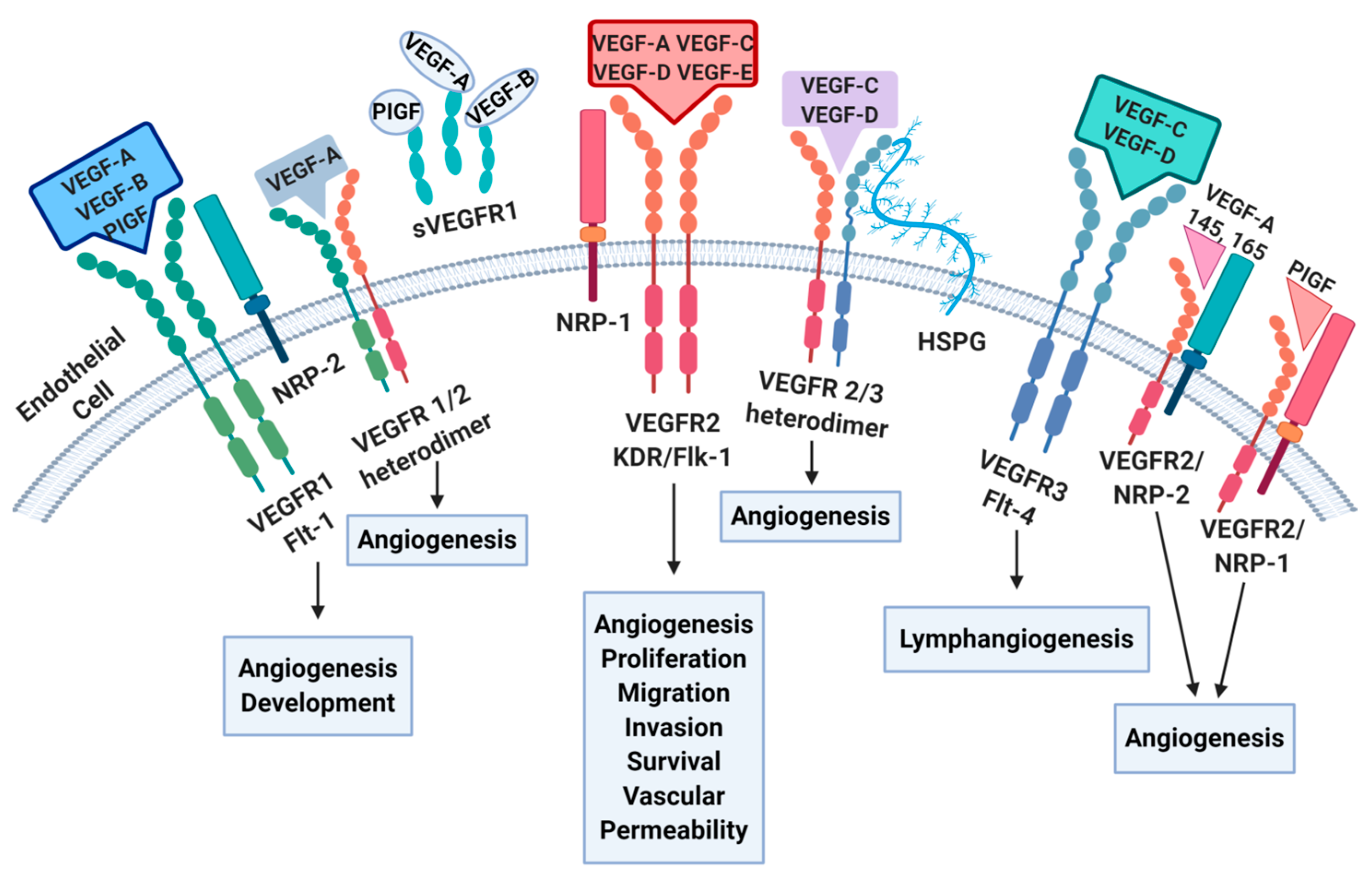 Cancers 16 01364 g001 Cancers 16 01364 g001