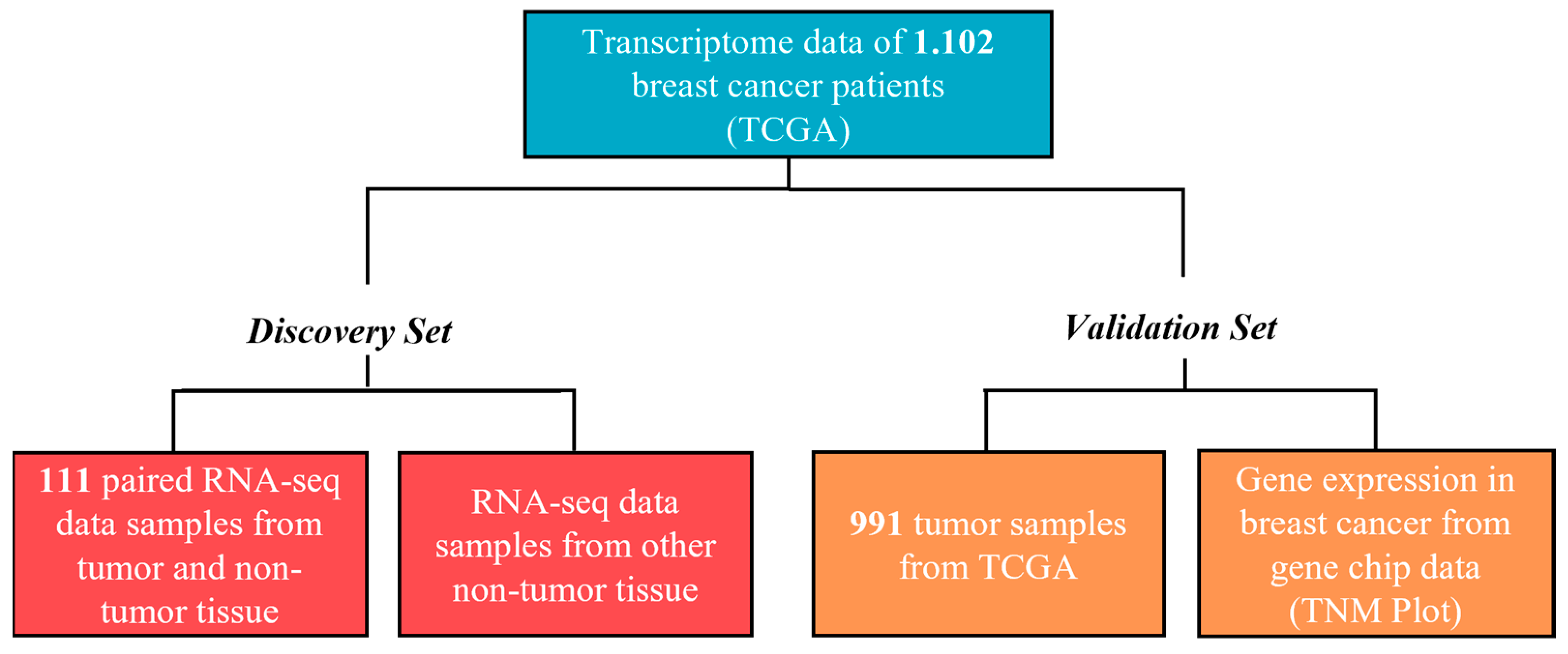 Cancers 16 01402 g001 Cancers 16 01402 g001