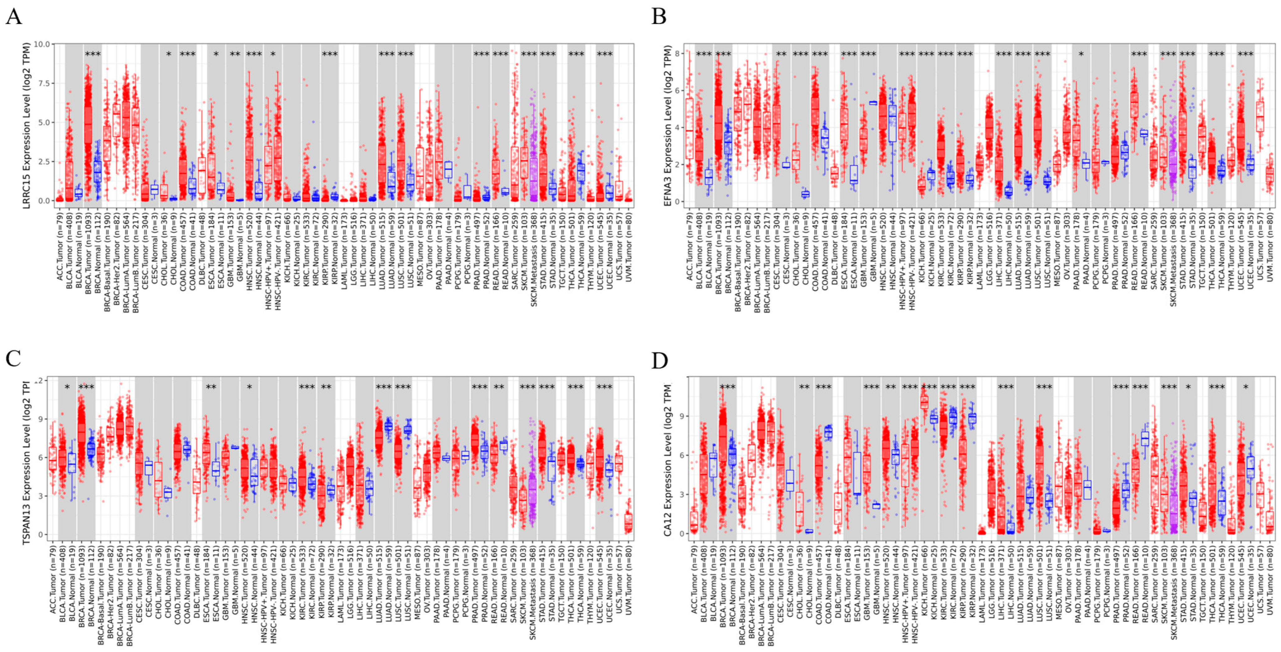 Cancers 16 01402 g006 Cancers 16 01402 g006