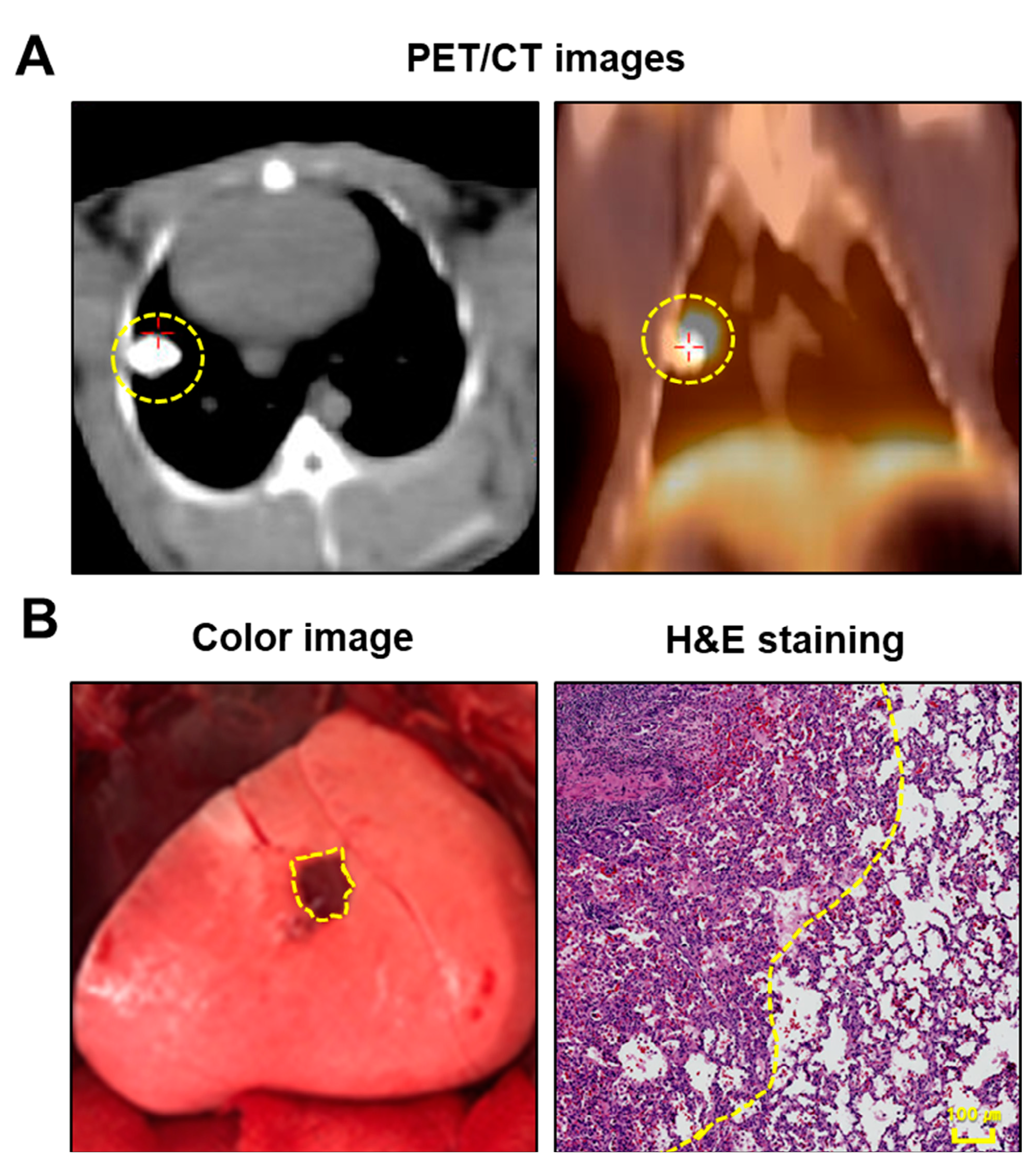 Cancers 16 01439 g001