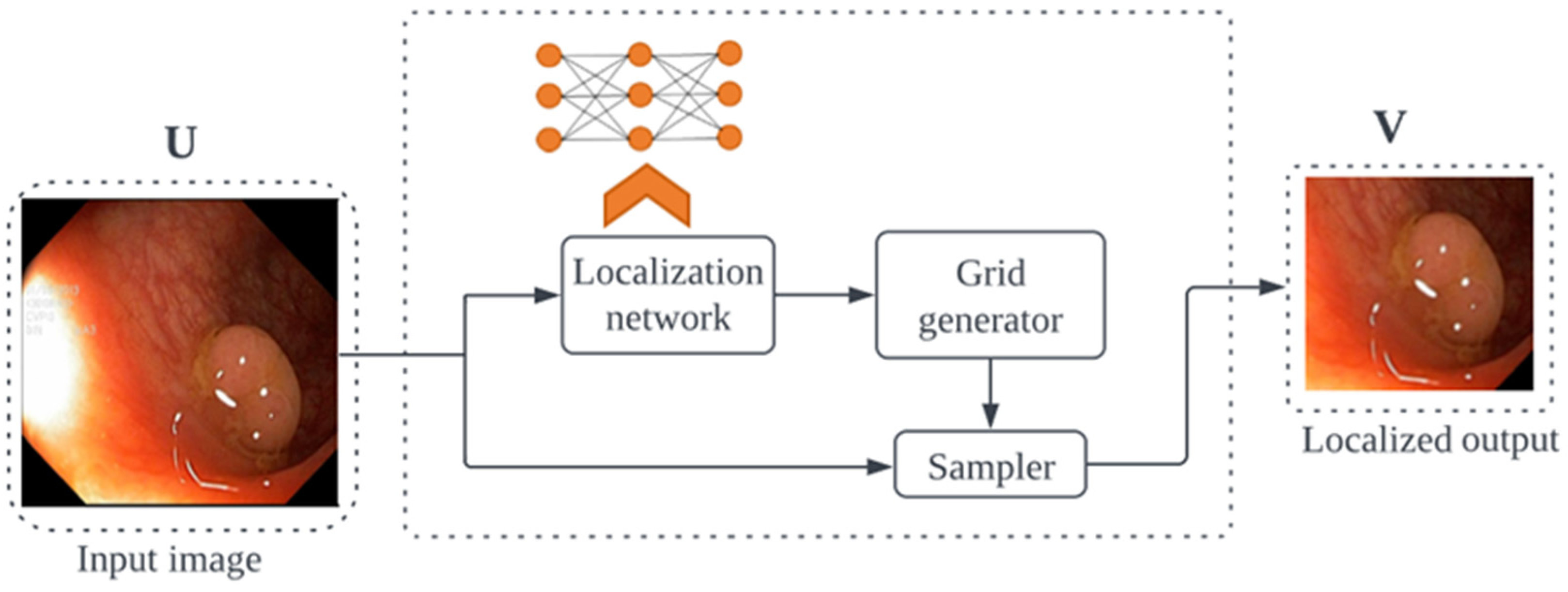 Cancers 16 01441 g001