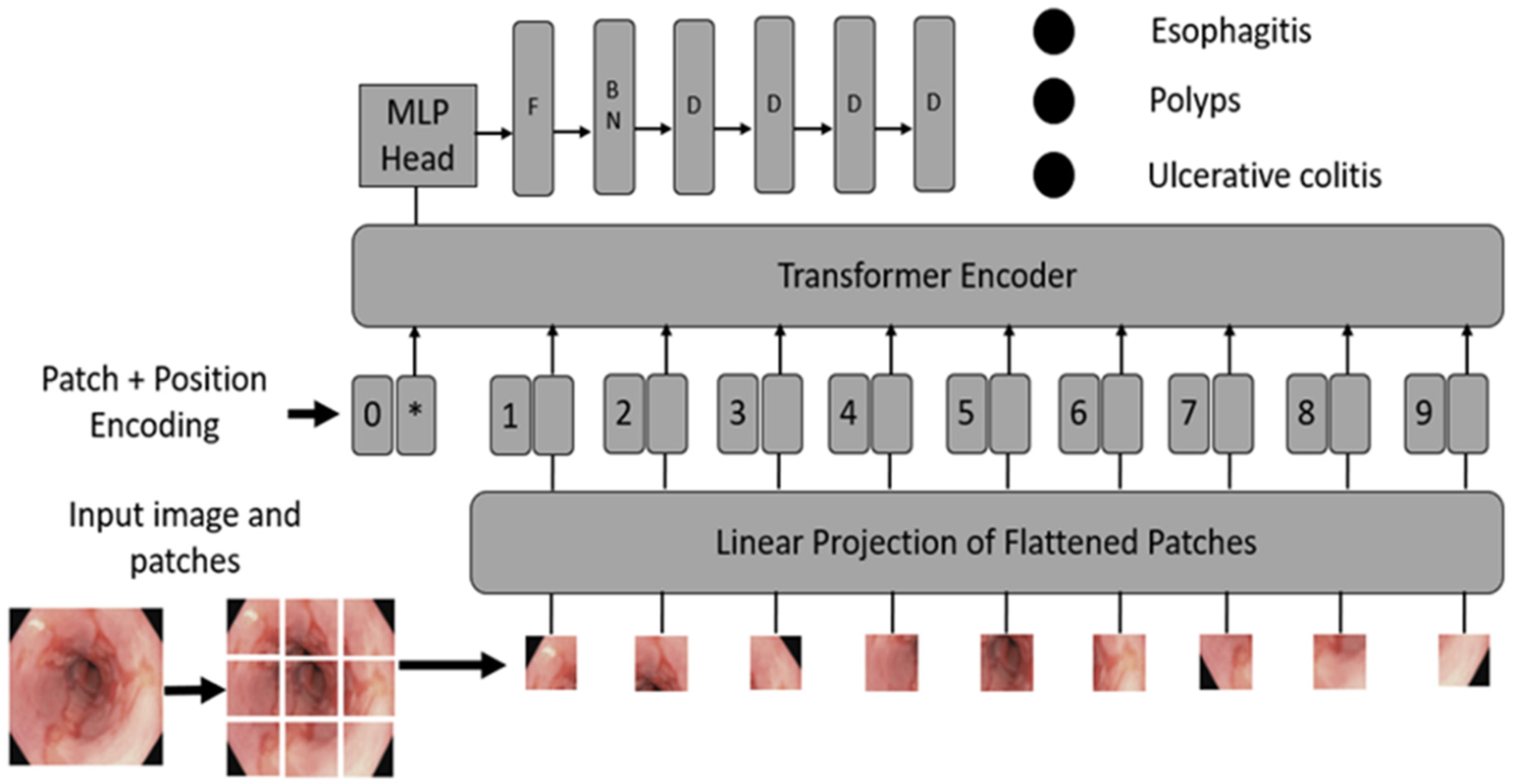 Cancers 16 01441 g003