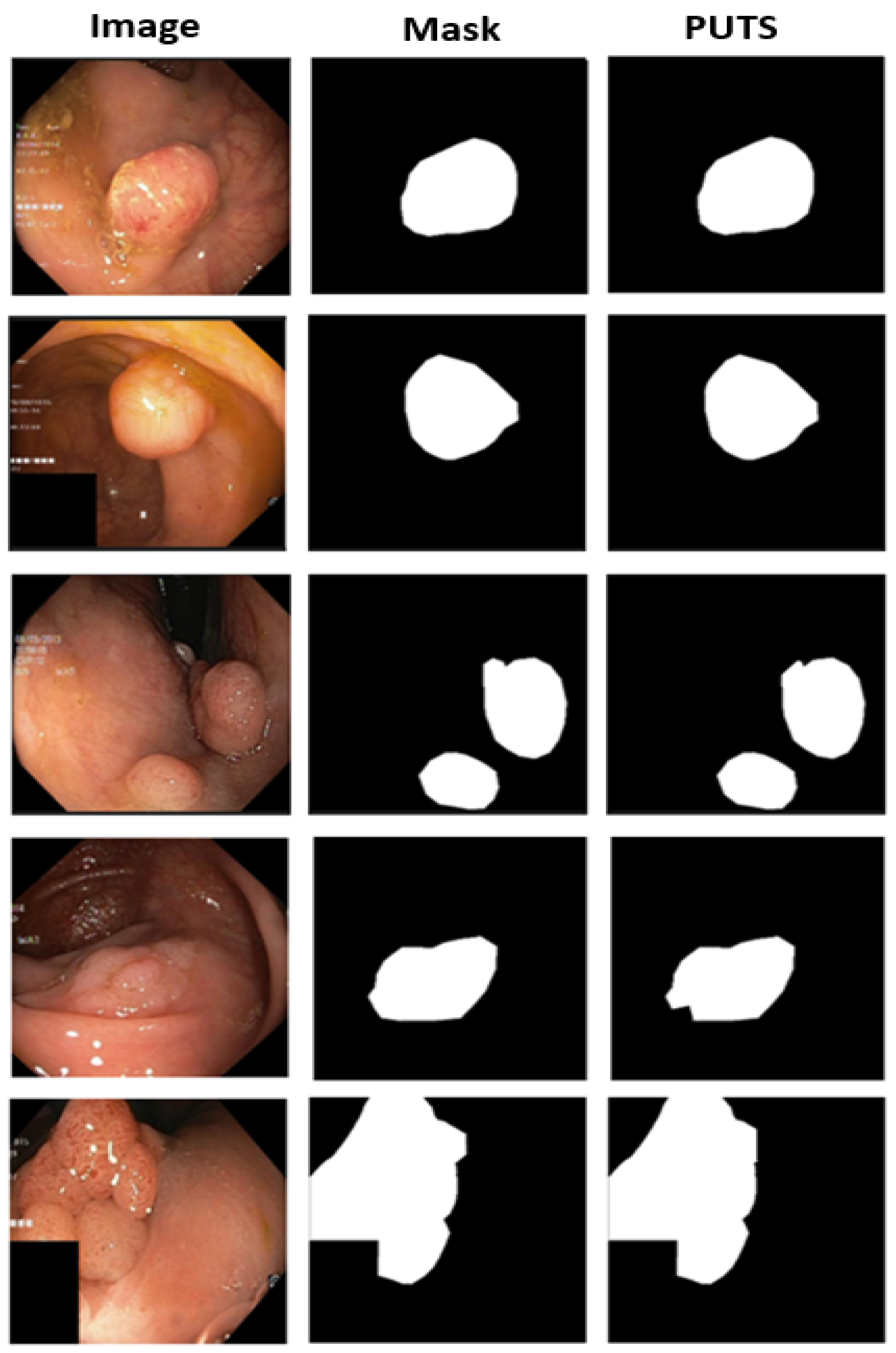 Cancers 16 01441 g008