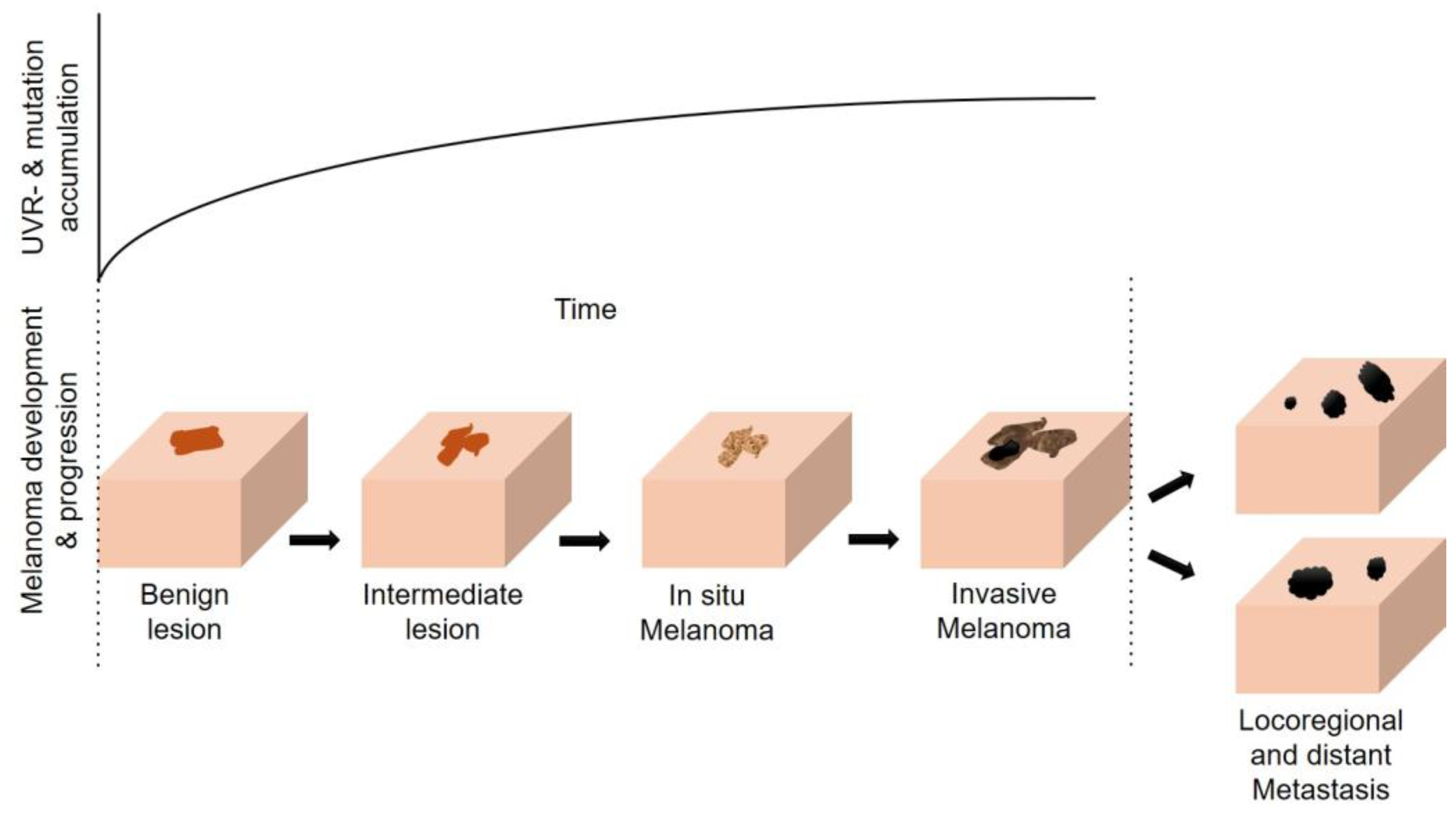 Cancers 16 01461 g001 Cancers 16 01461 g001
