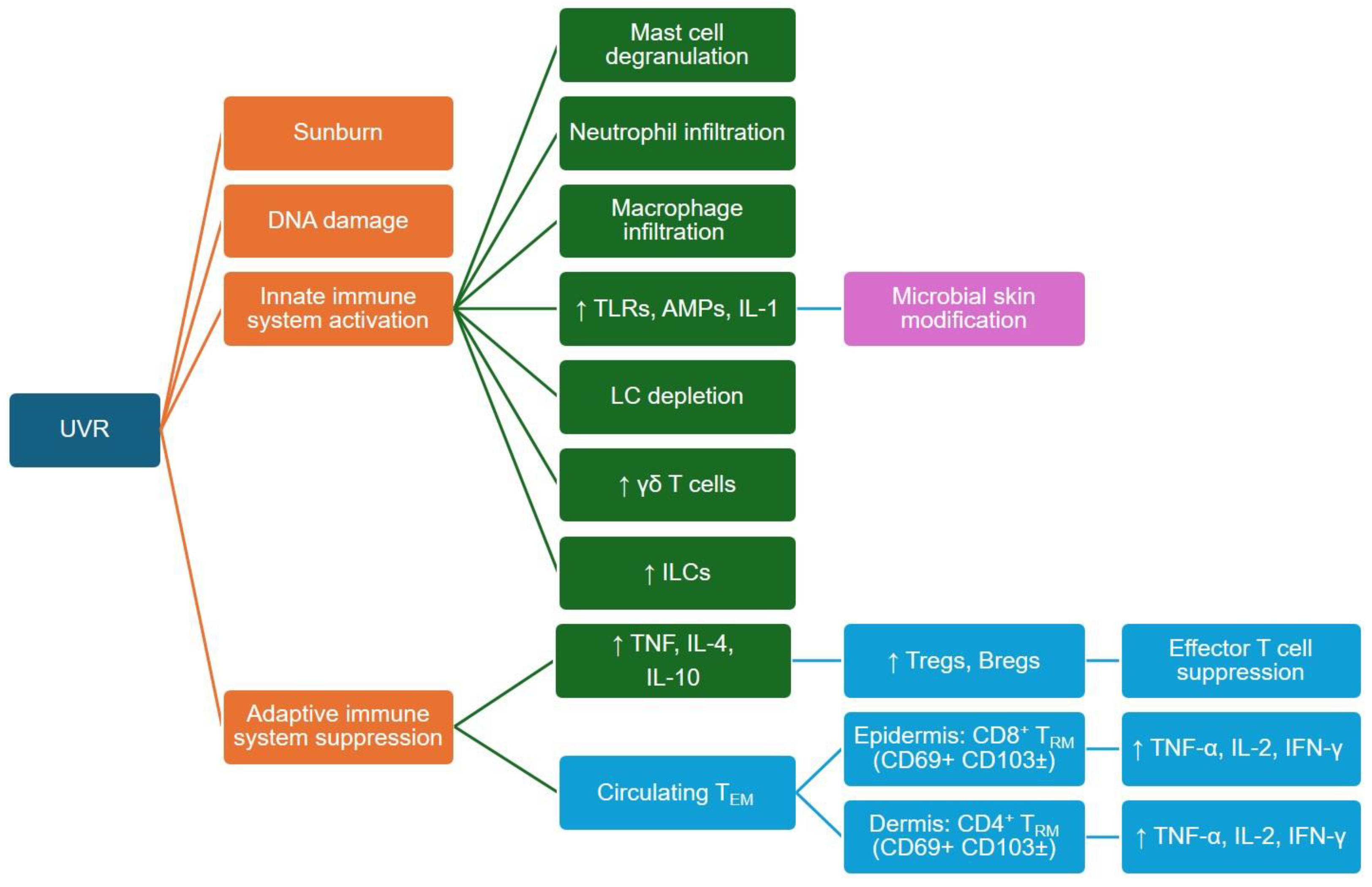 Cancers 16 01461 g002 Cancers 16 01461 g002