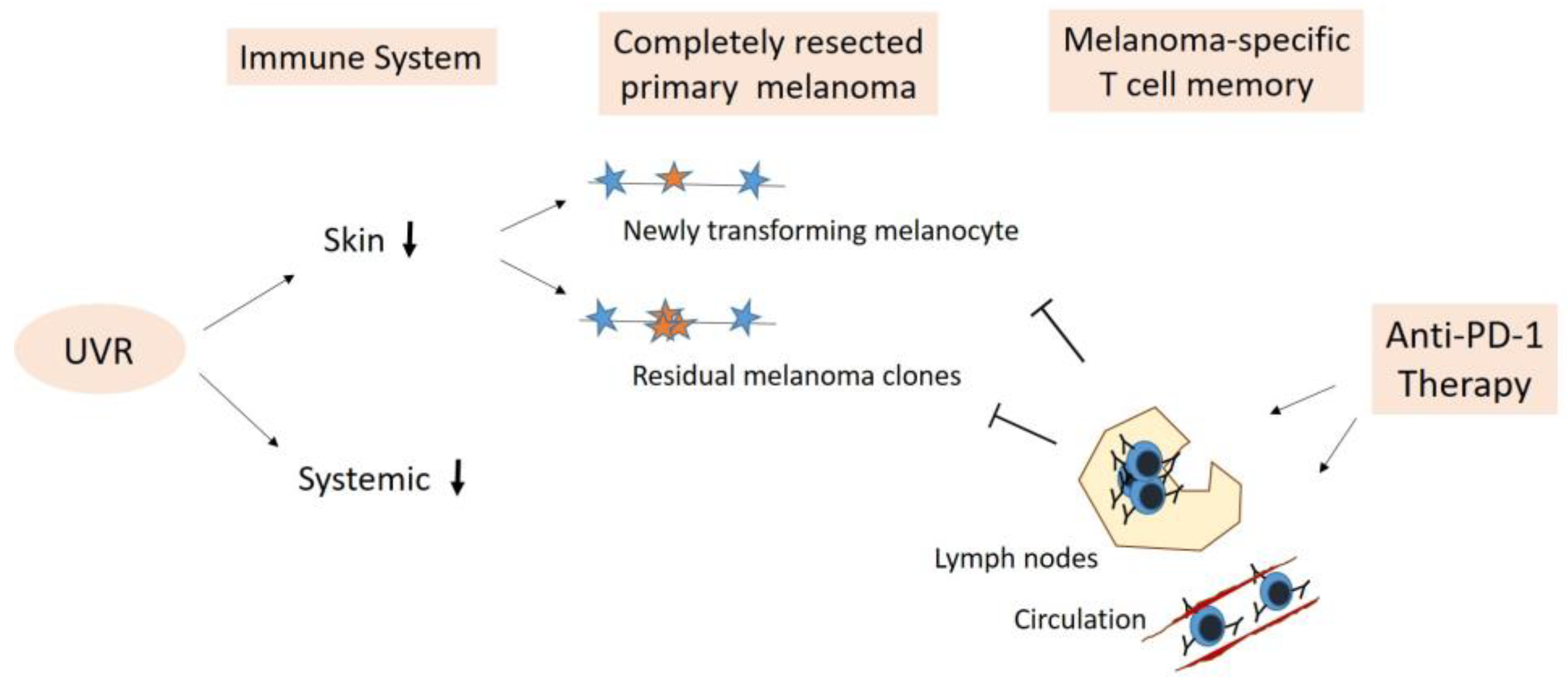 Cancers 16 01461 g004 Cancers 16 01461 g004