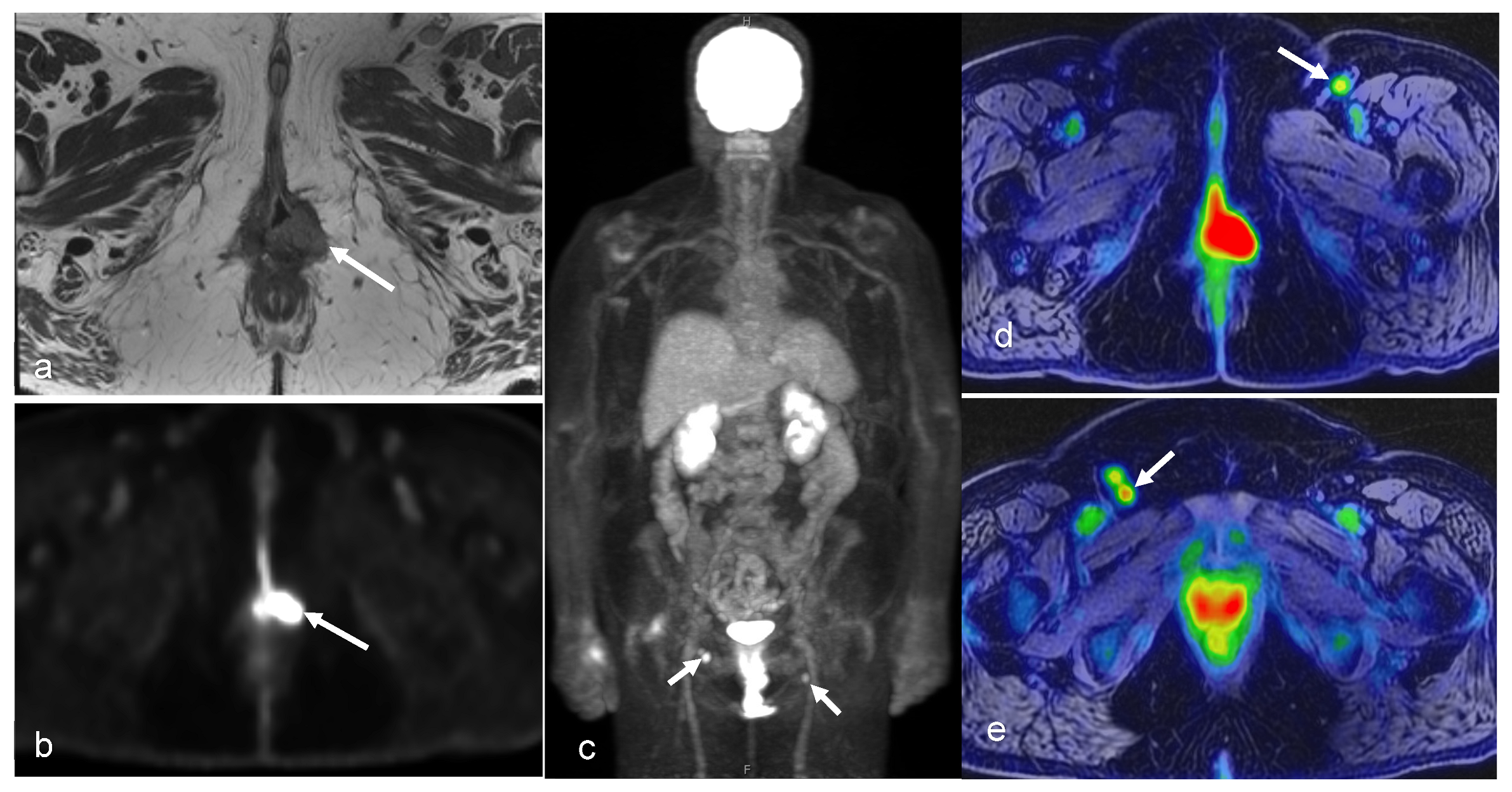 Cancers 16 01478 g010