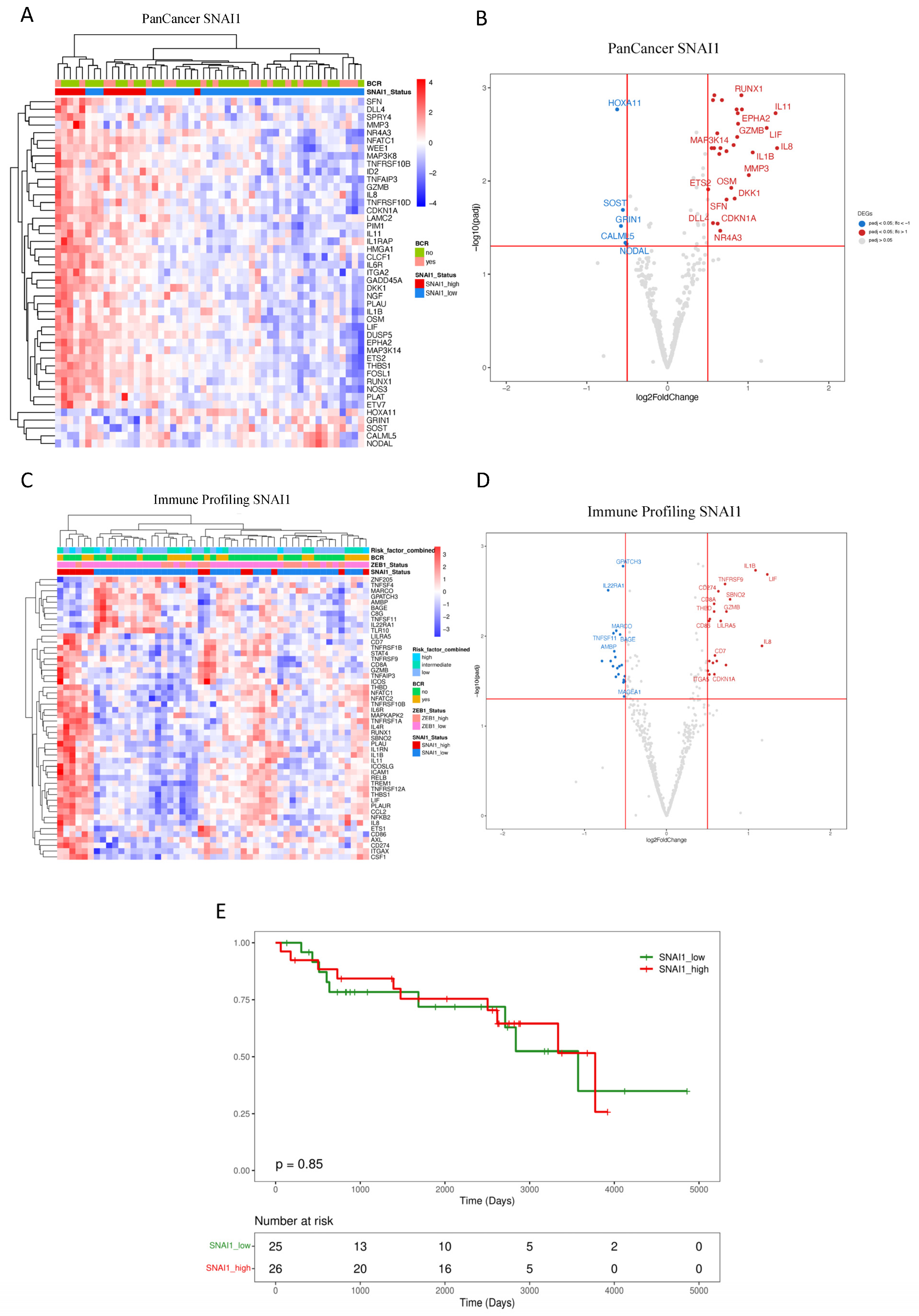 Cancers 16 01480 g003