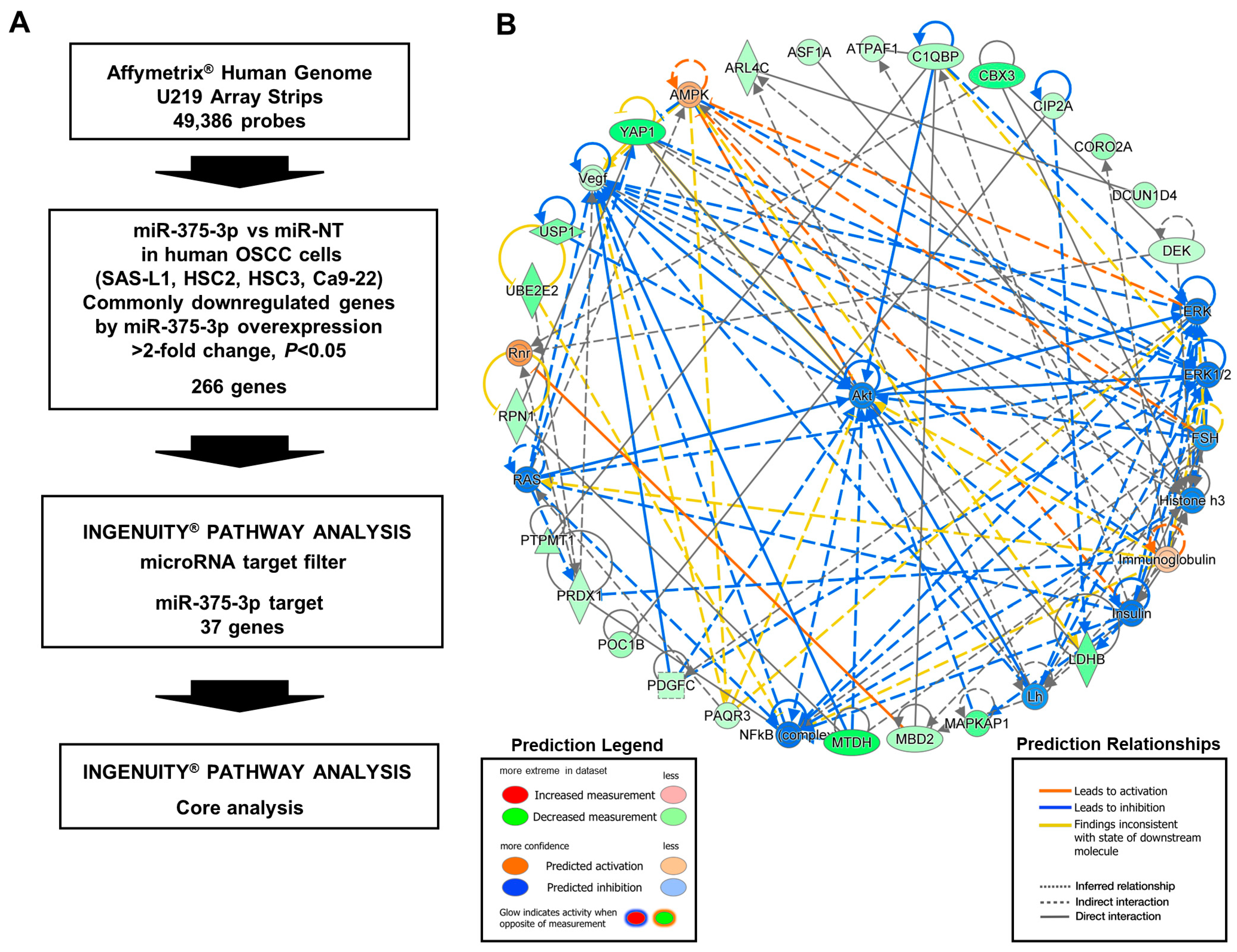 Cancers 16 01492 g006