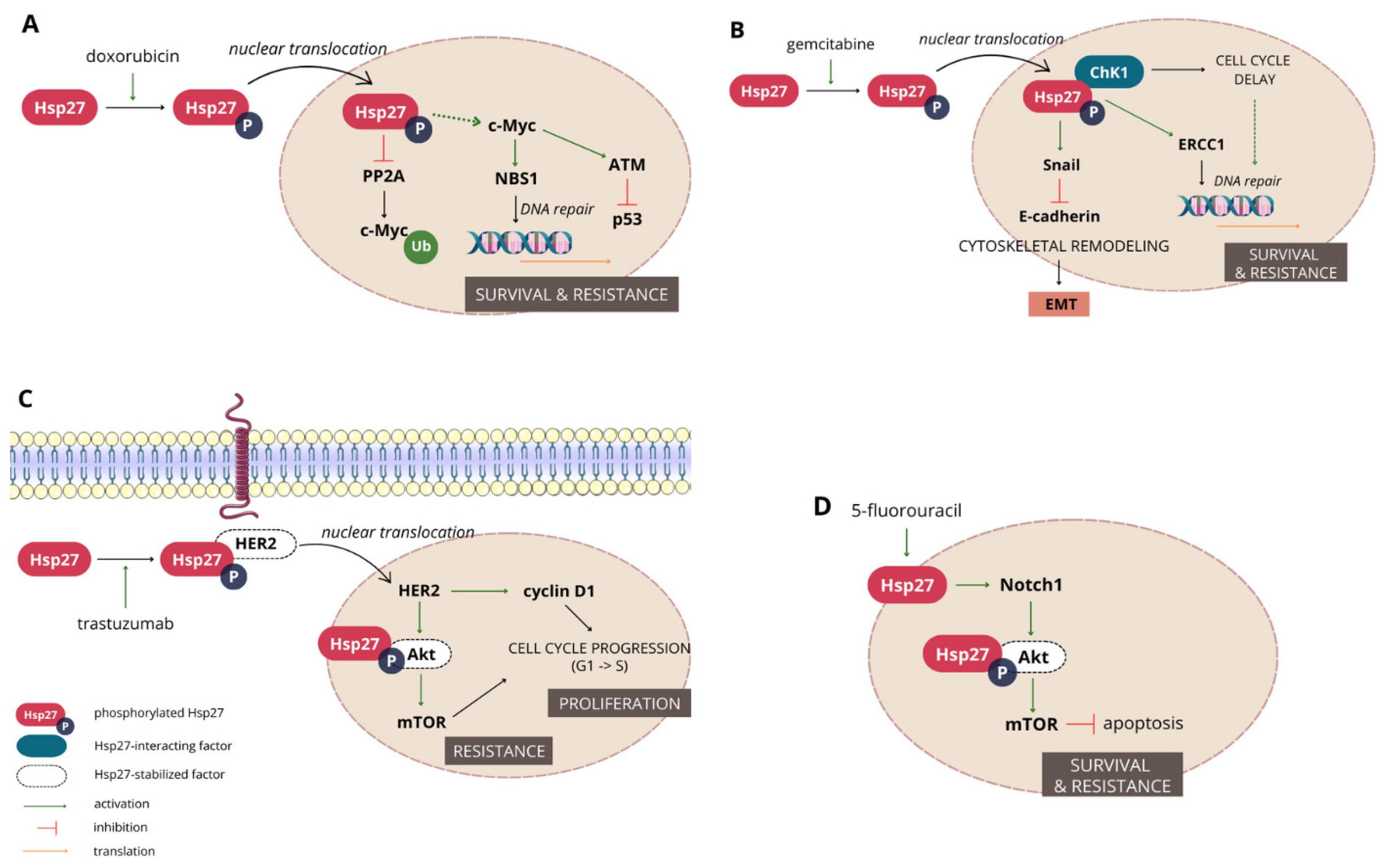 Cancers 16 01500 g002