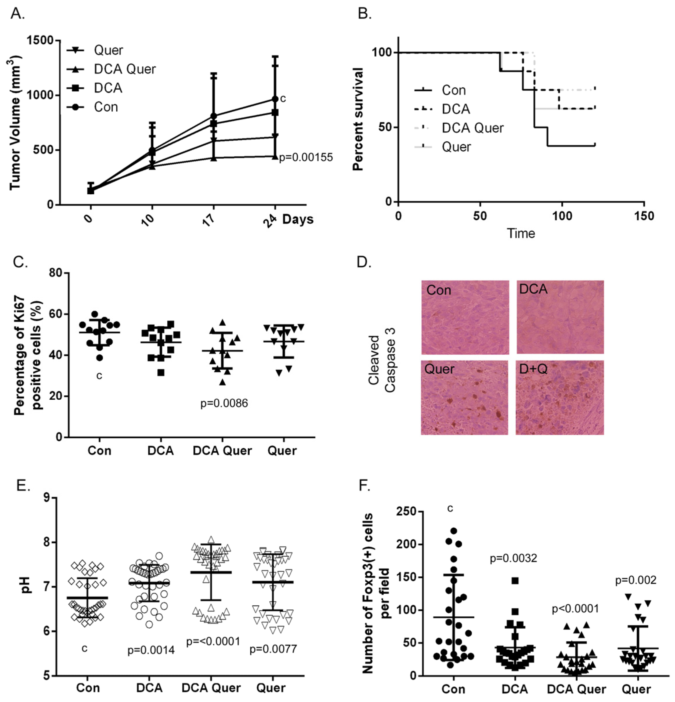 Cancers 16 01525 g005