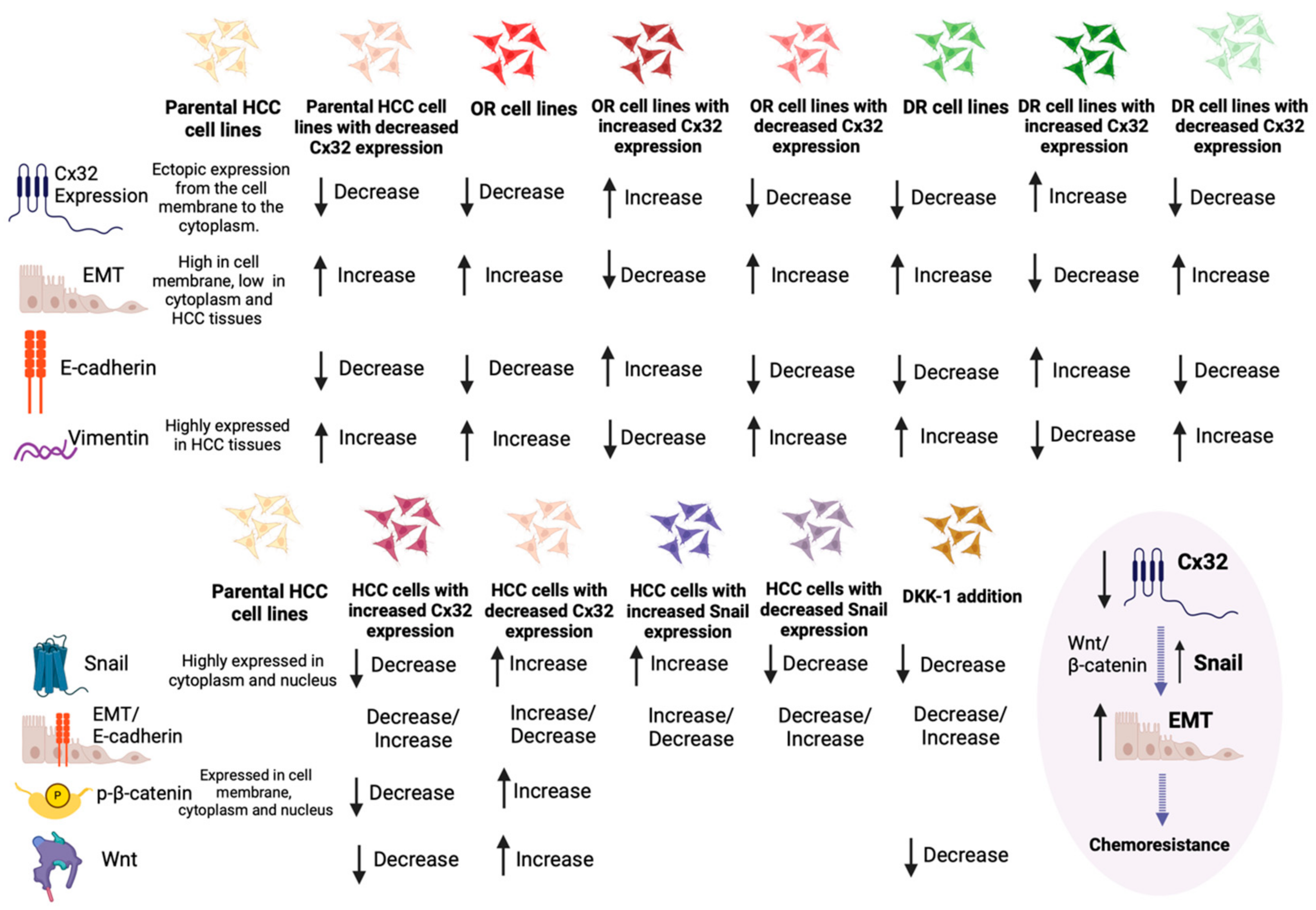 Cancers 16 01533 g002 Cancers 16 01533 g002