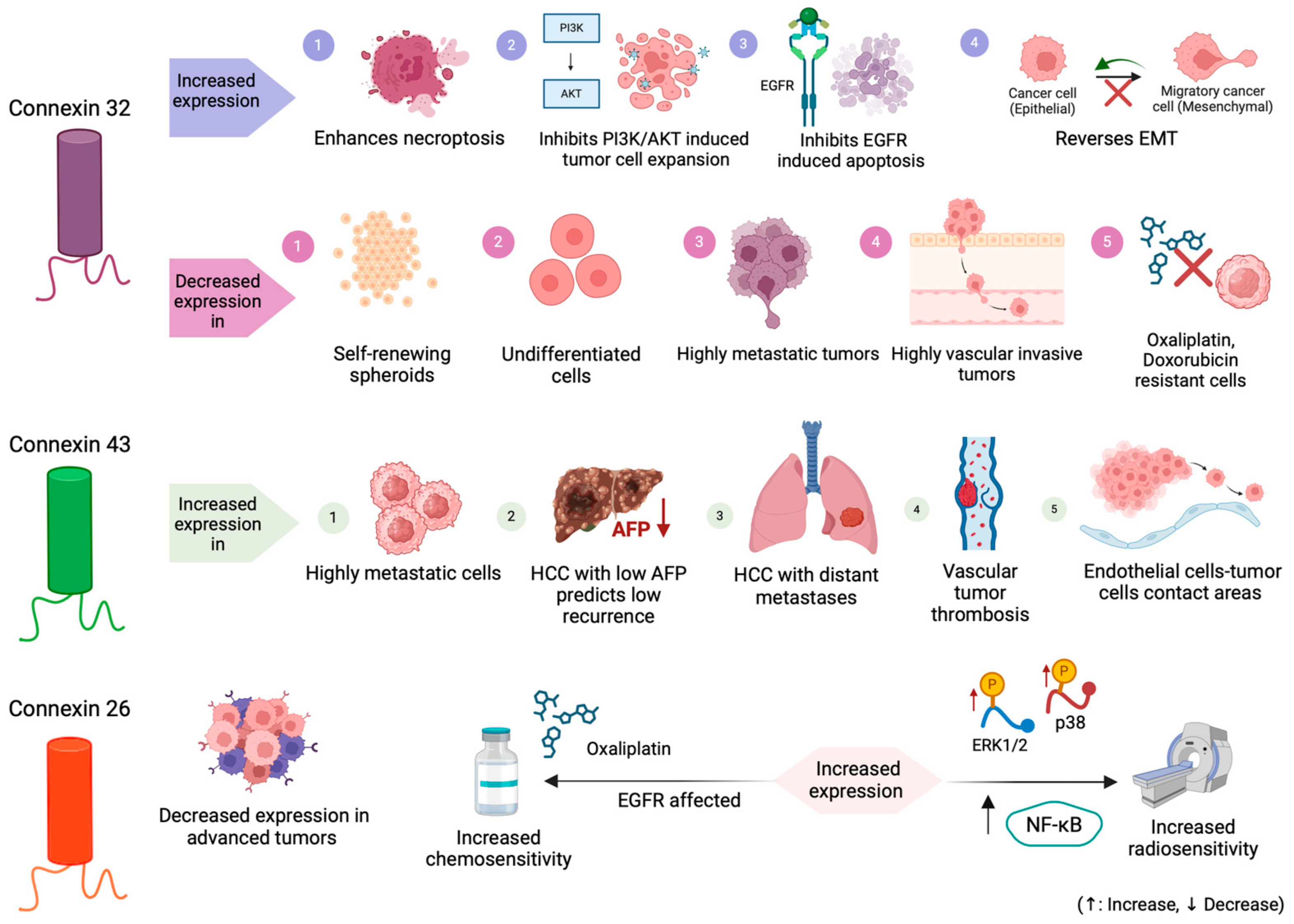 Cancers 16 01533 g004 Cancers 16 01533 g004