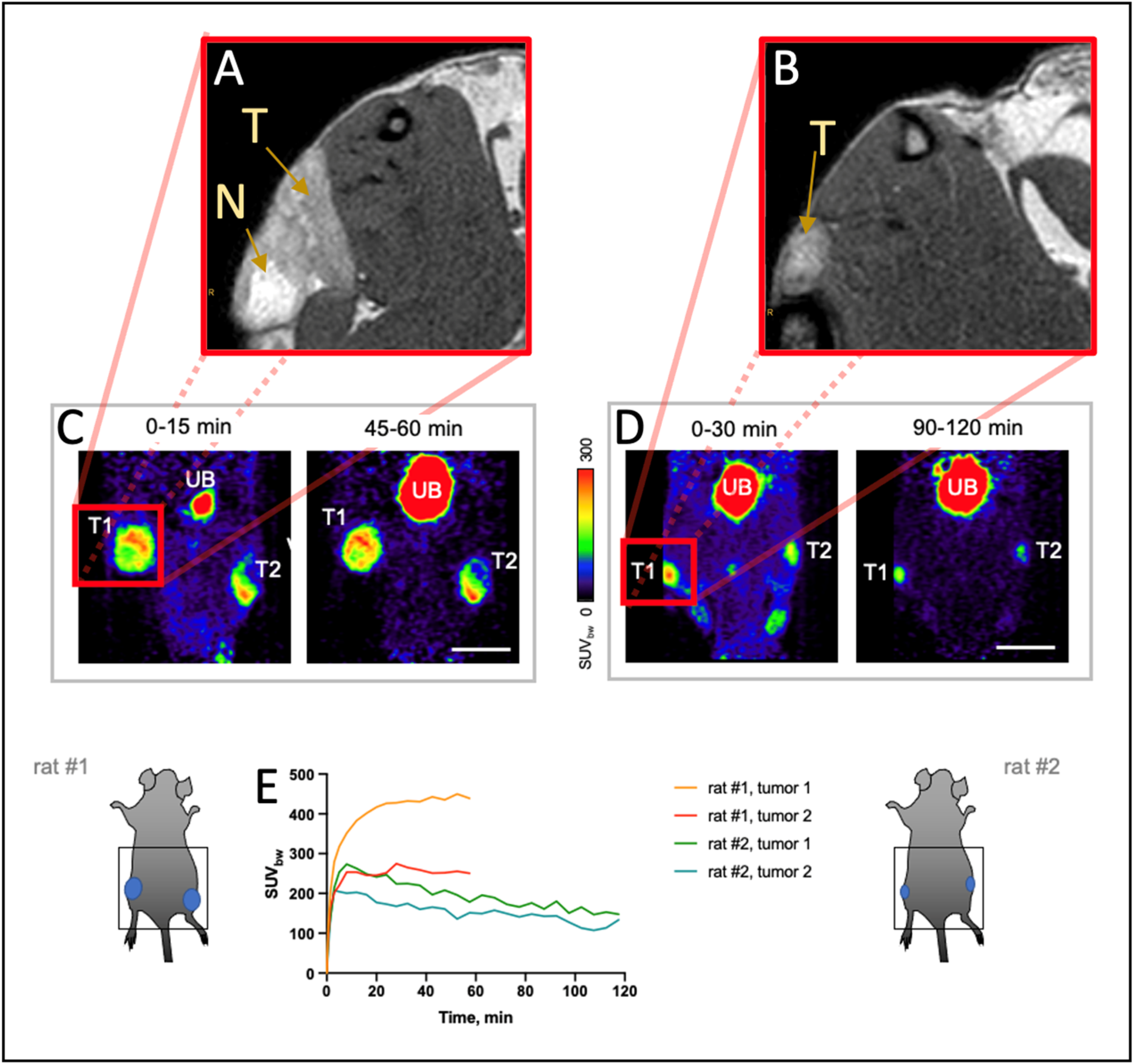 Cancers 16 01535 g006