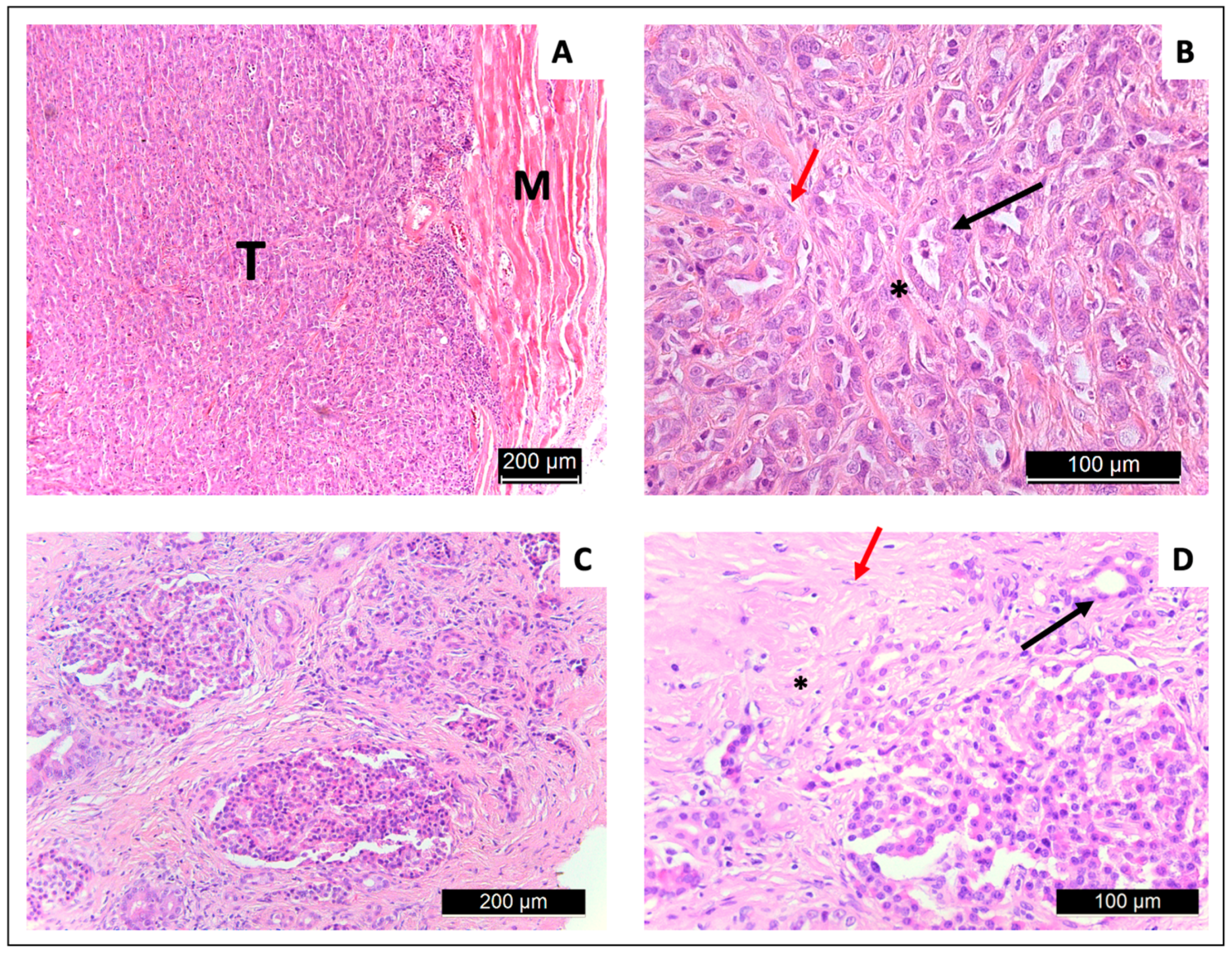 Cancers 16 01535 g007