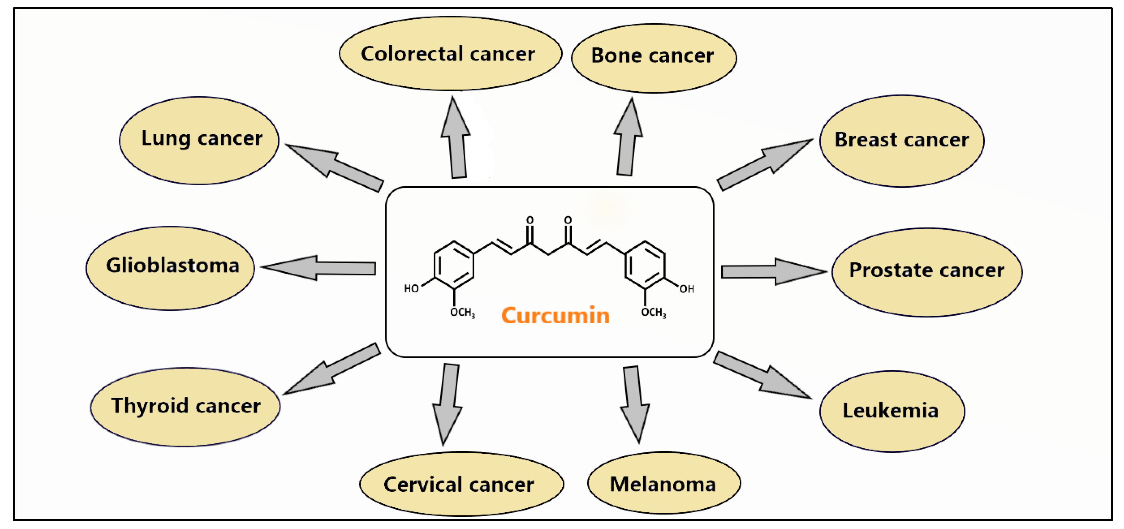 Cancers 16 01554 g001