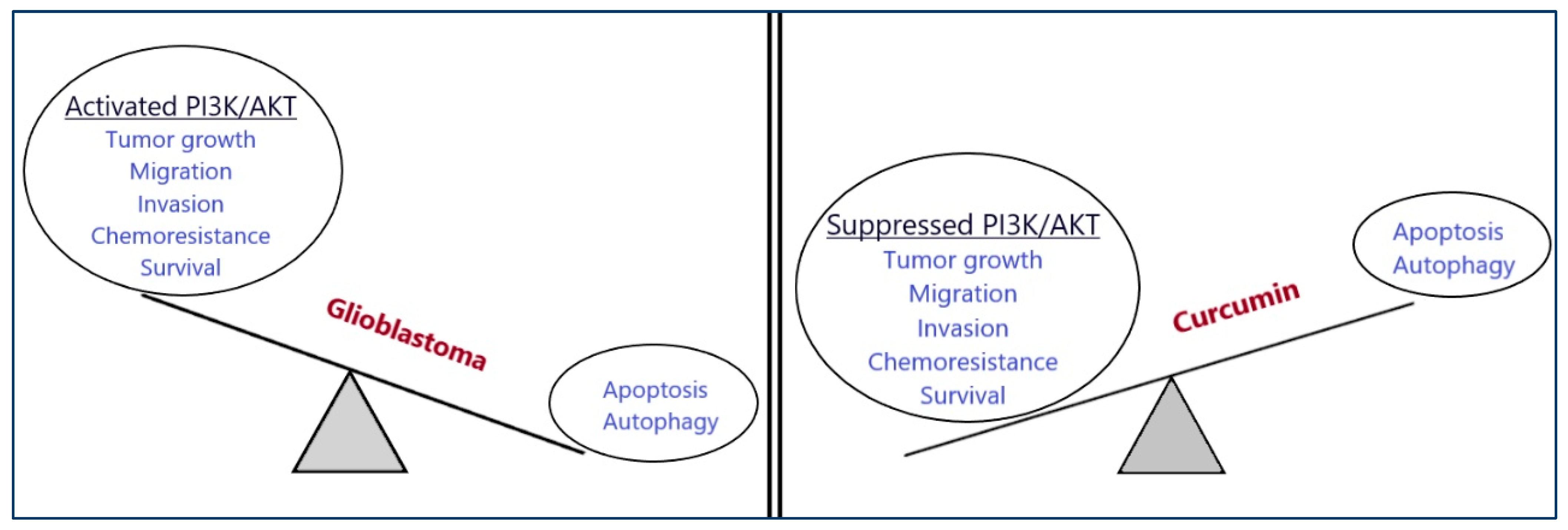 Cancers 16 01554 g003