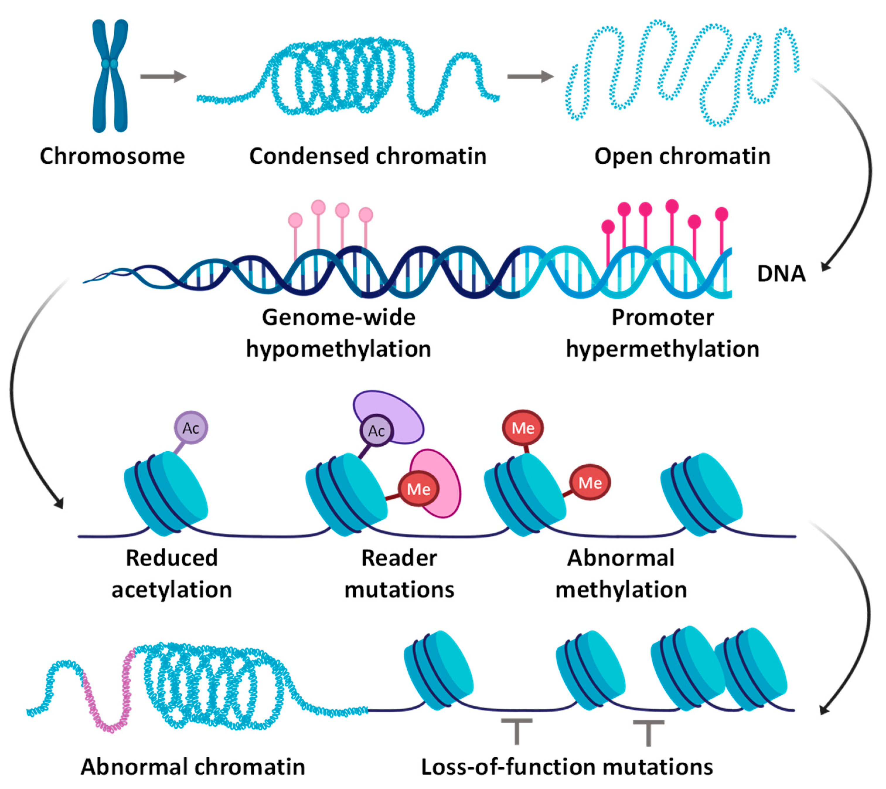 Cancers 16 01589 g004 Cancers 16 01589 g004