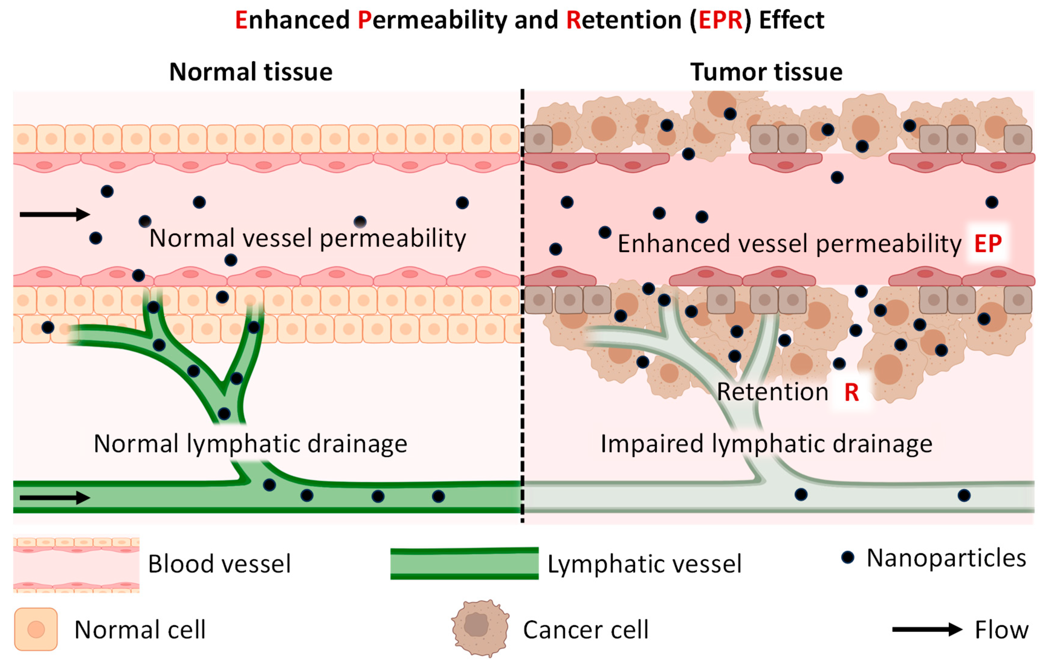 Cancers 16 01589 g007 Cancers 16 01589 g007