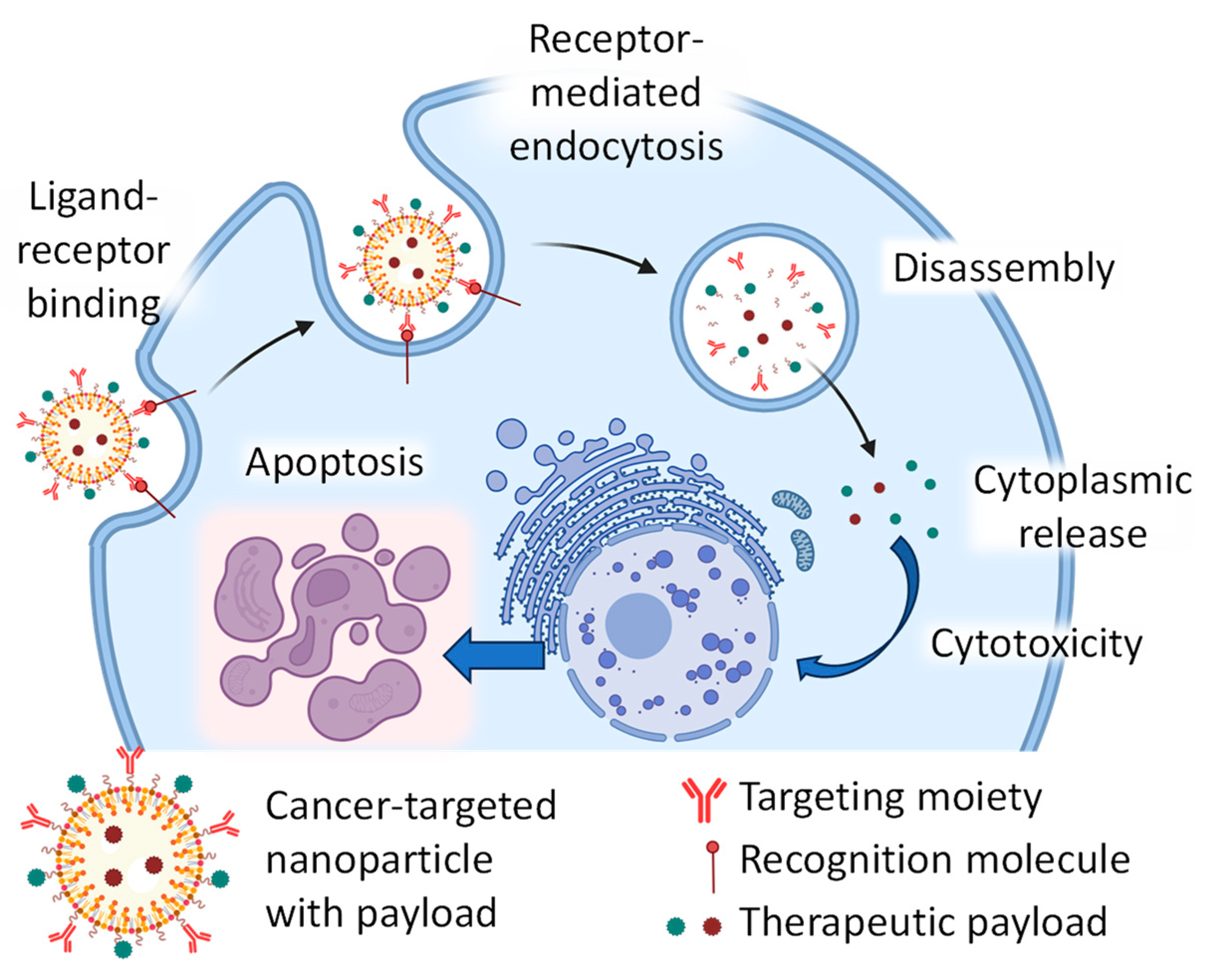 Cancers 16 01589 g008 Cancers 16 01589 g008