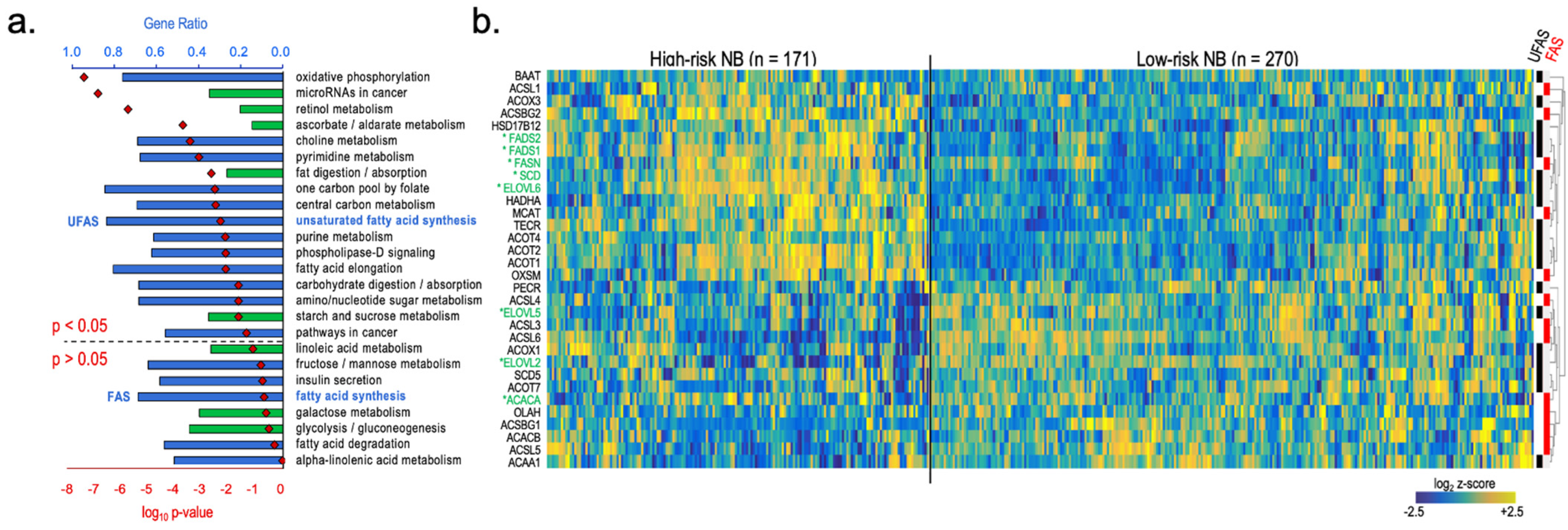 Cancers 16 01590 g003
