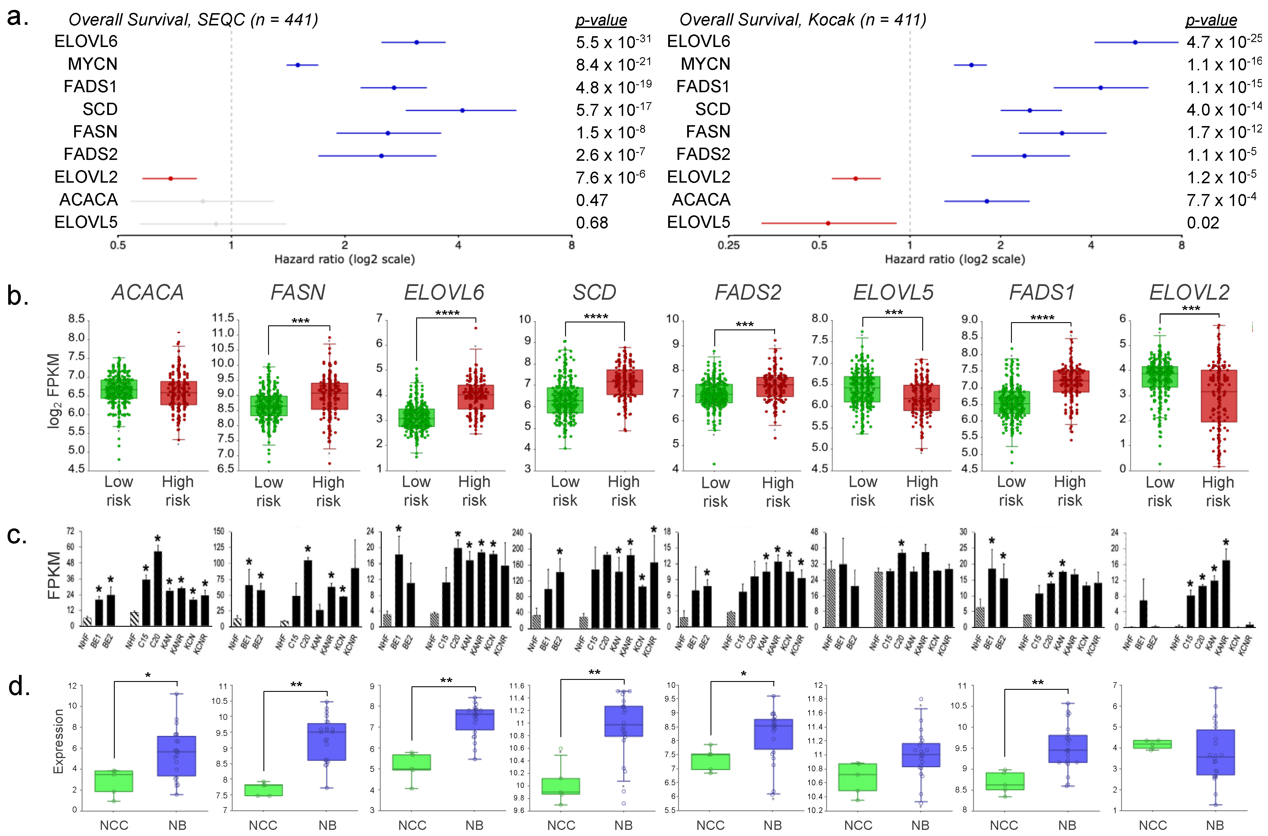 Cancers 16 01590 g004