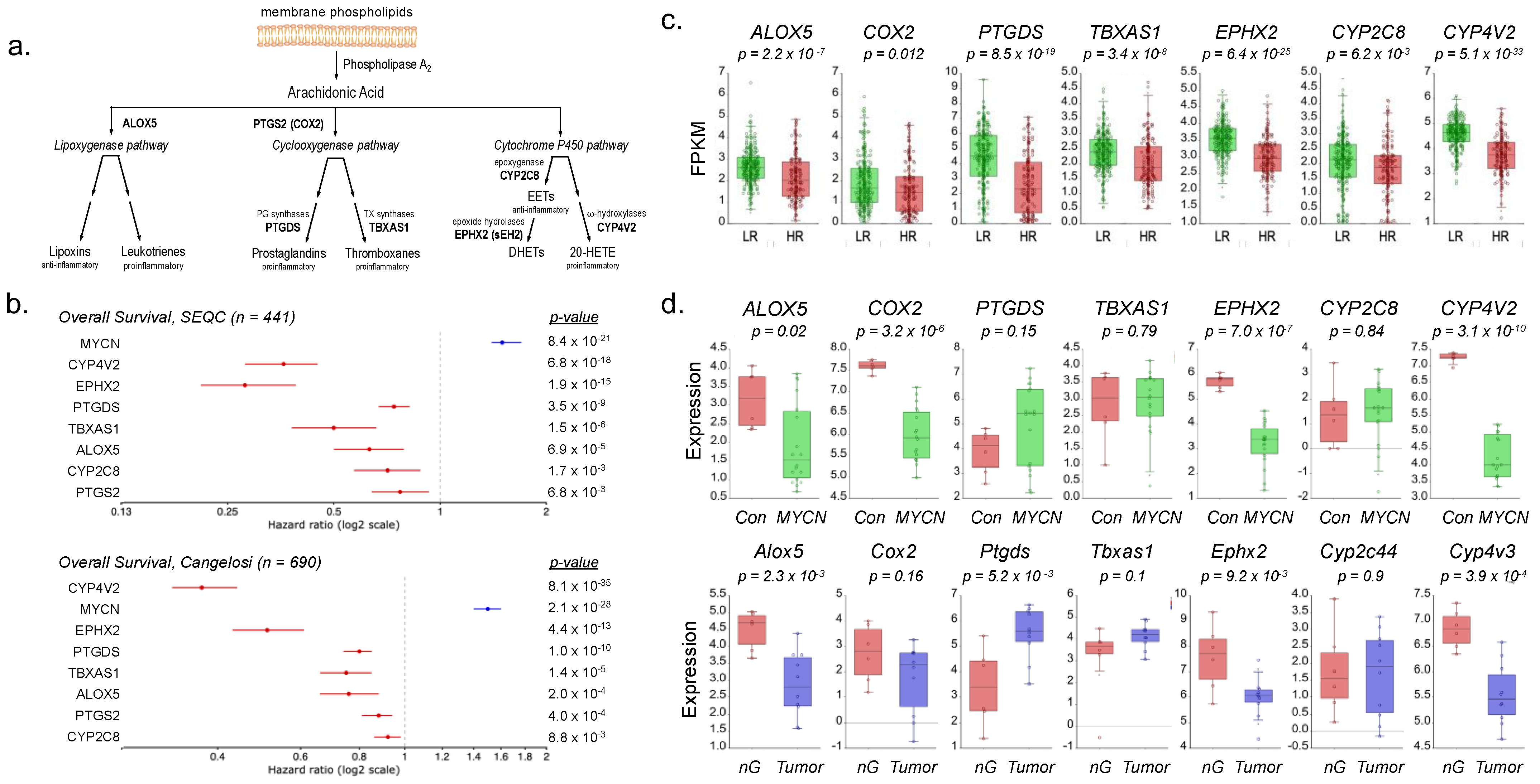 Cancers 16 01590 g006