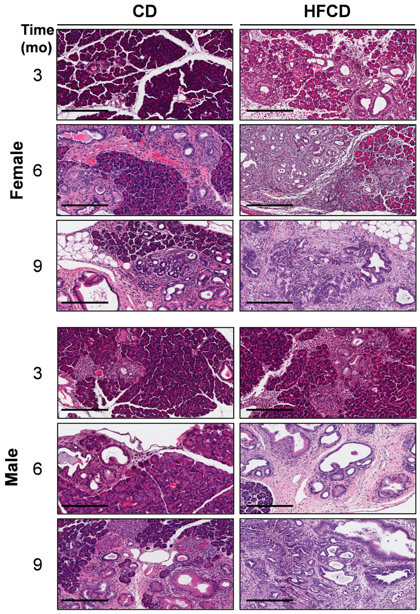 Cancers 16 01593 g001 Cancers 16 01593 g001