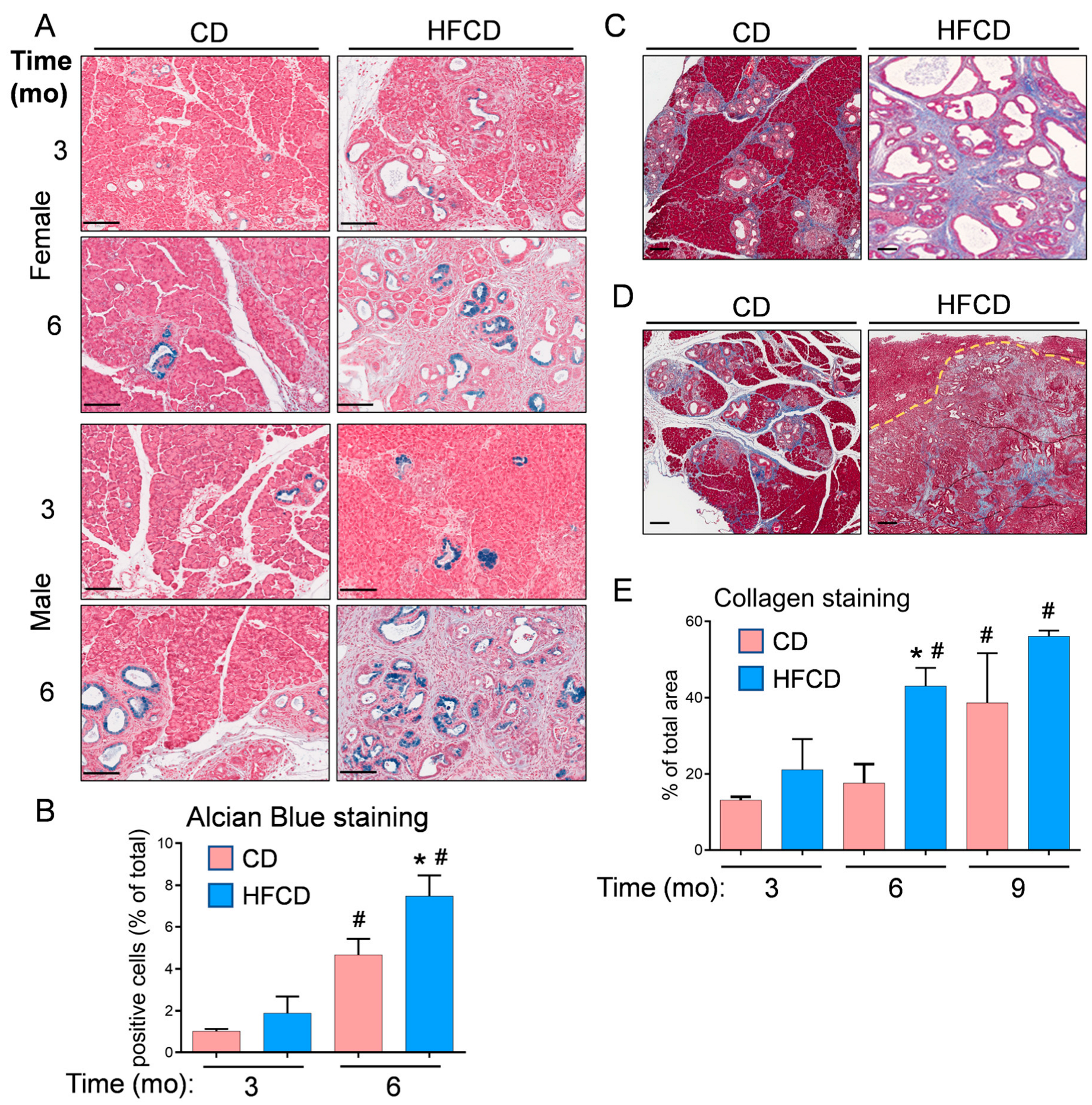 Cancers 16 01593 g002 Cancers 16 01593 g002
