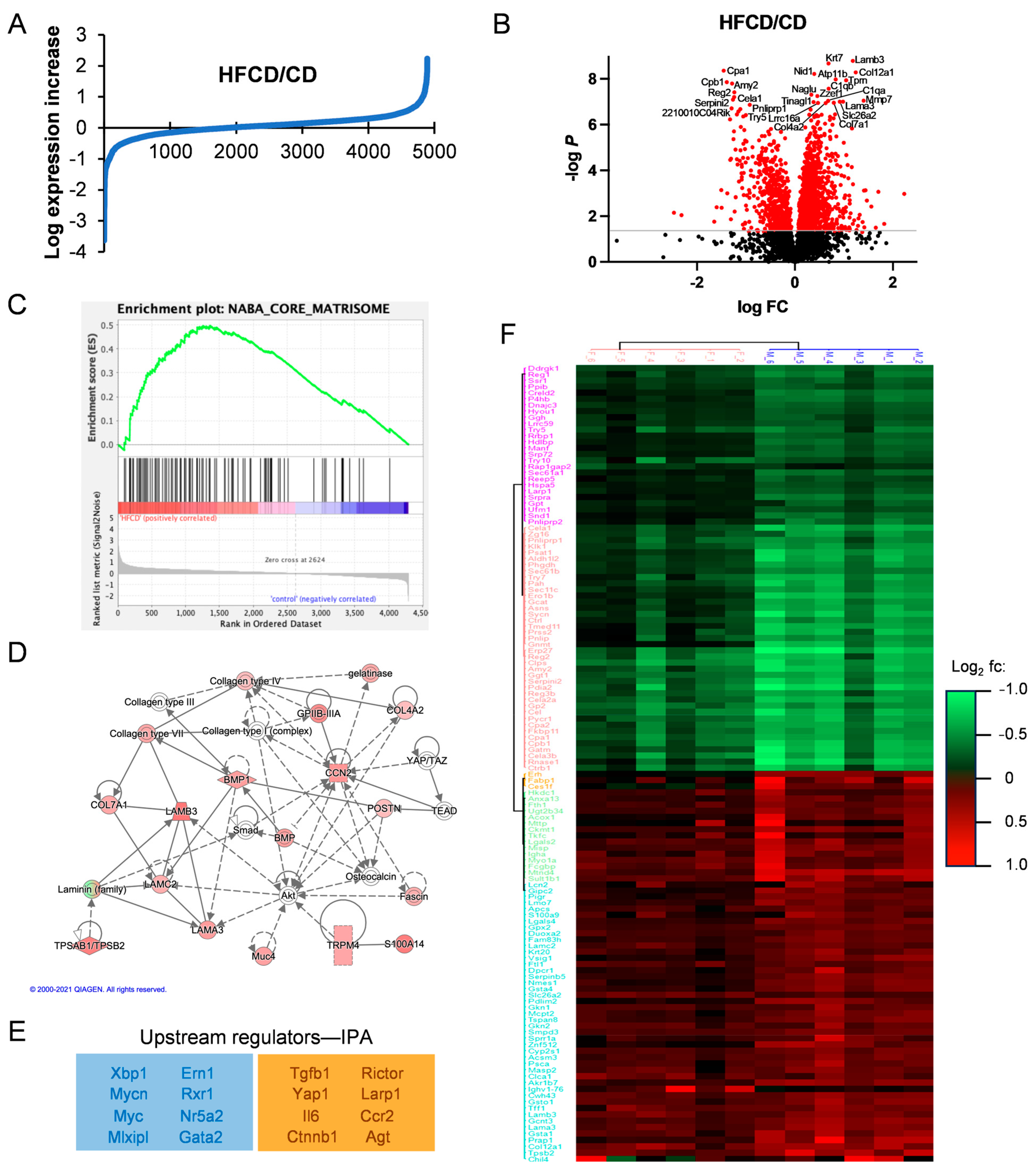 Cancers 16 01593 g003 Cancers 16 01593 g003
