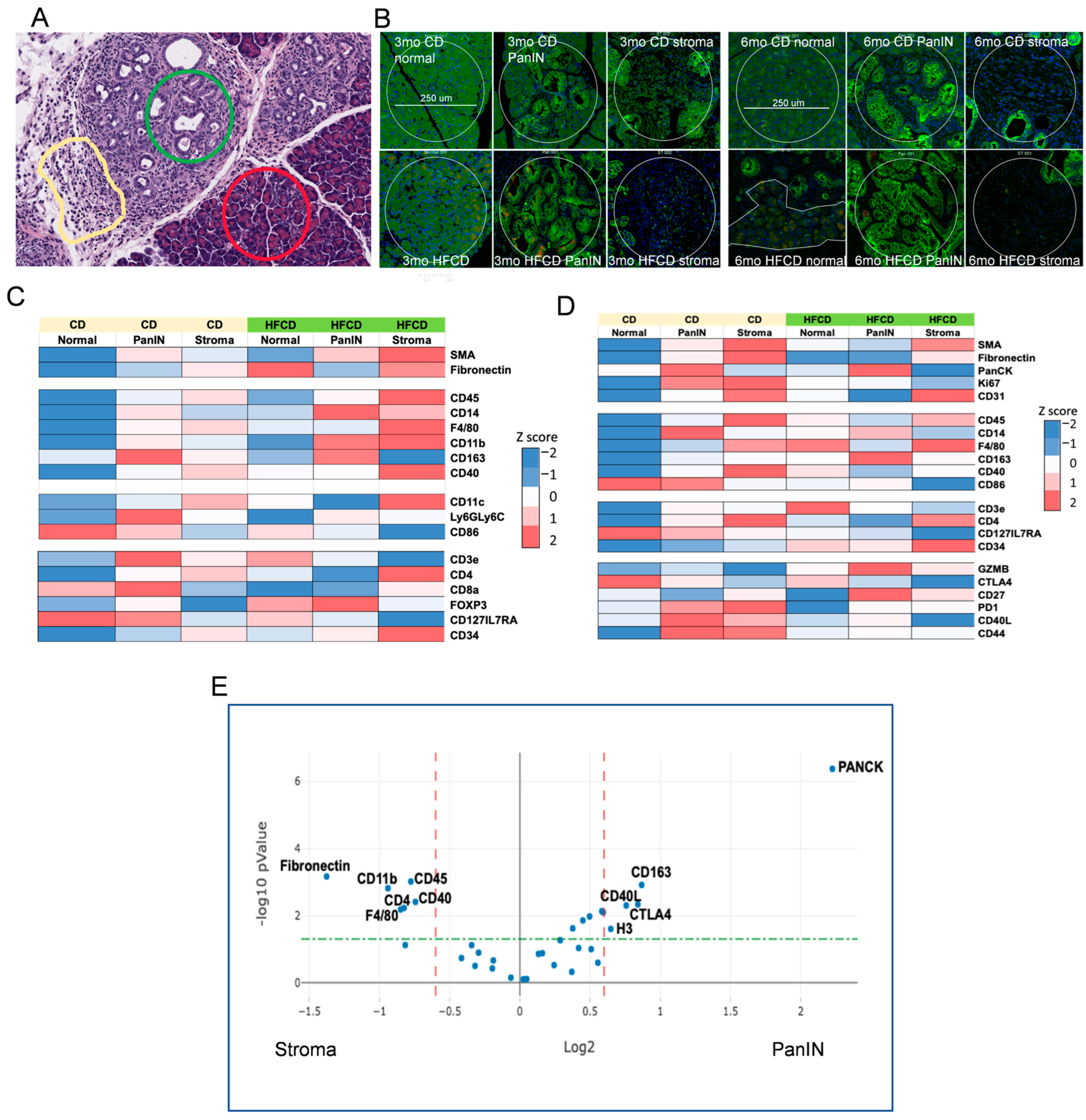 Cancers 16 01593 g006 Cancers 16 01593 g006