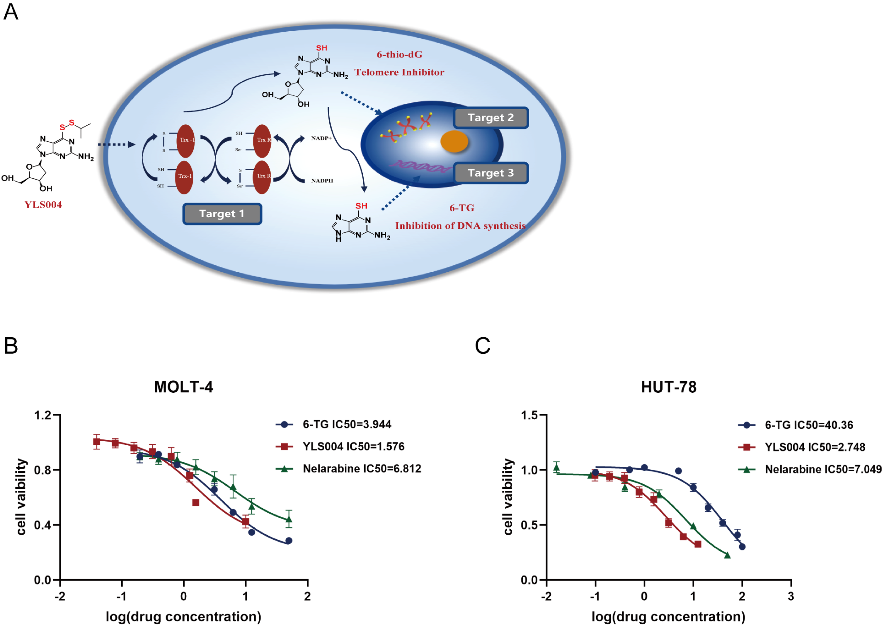 Cancers 16 01614 g001