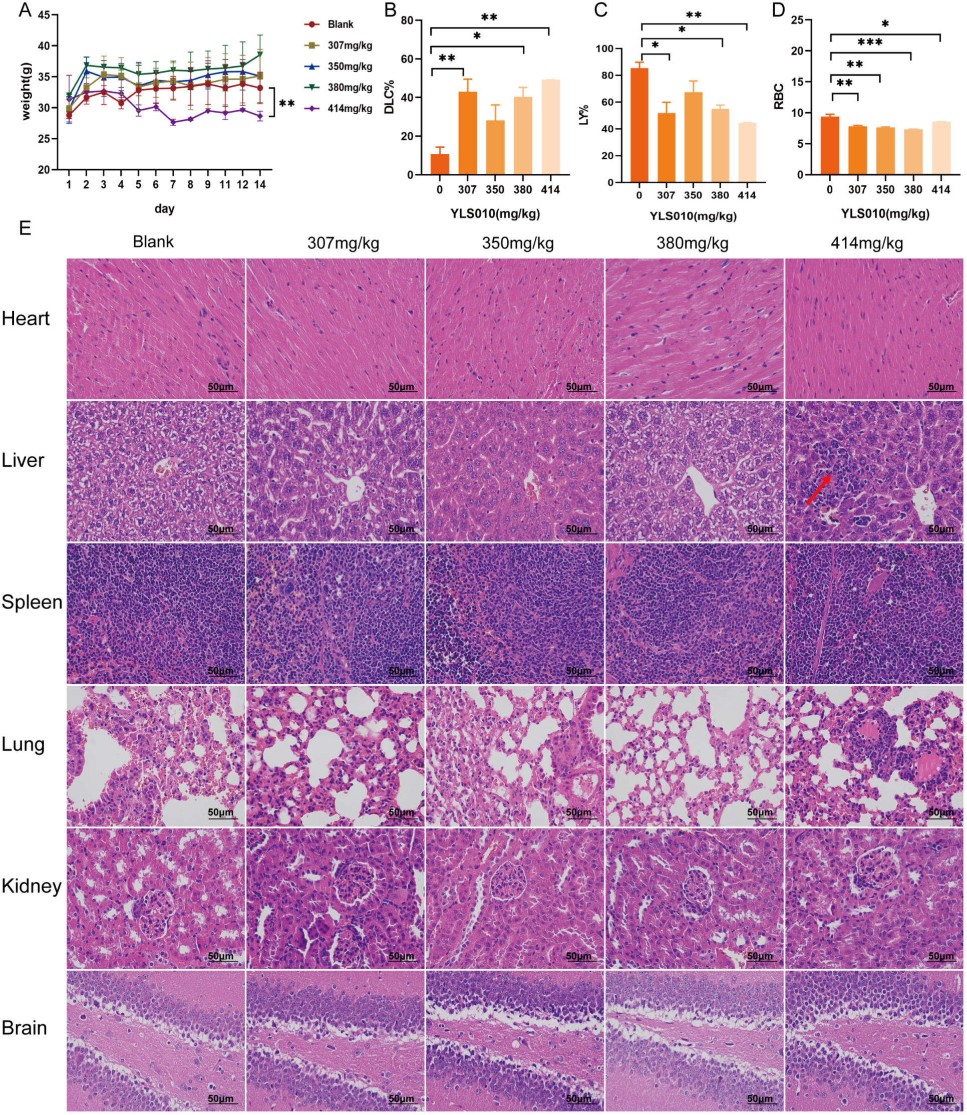 Cancers 16 01614 g005