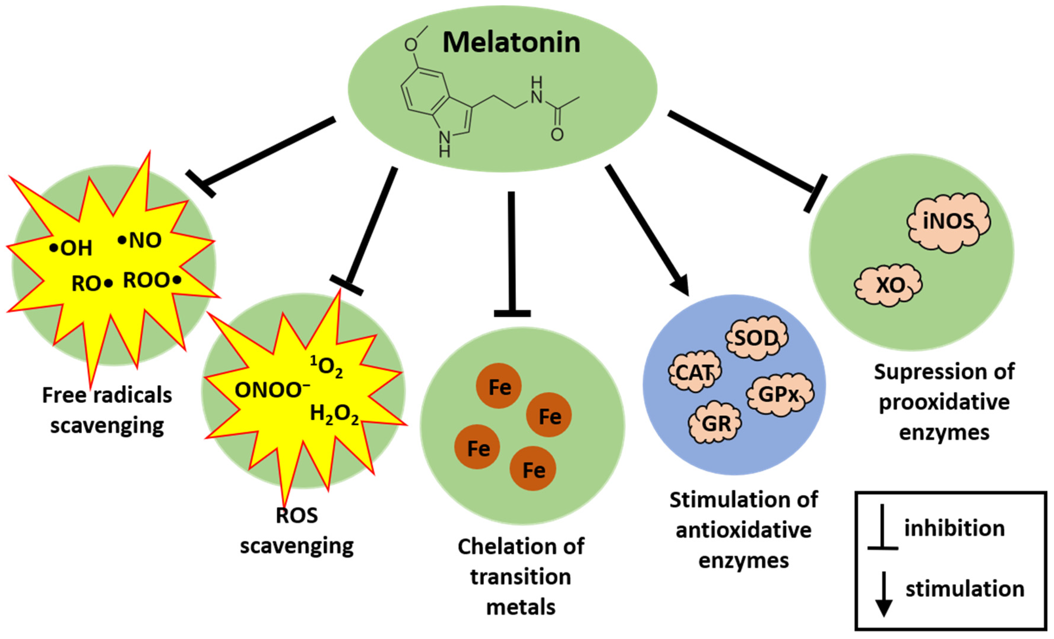 Cancers 16 01646 g002