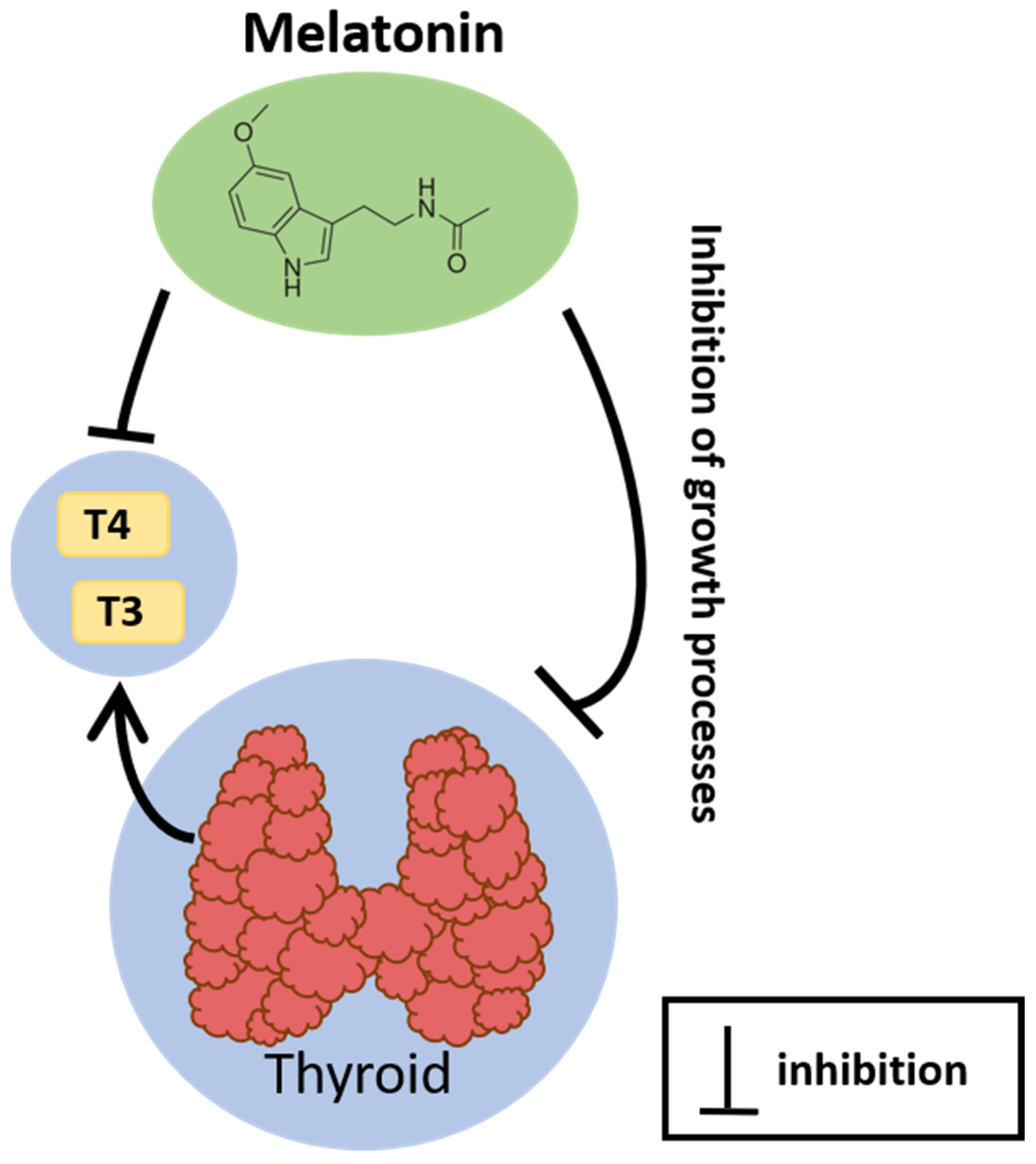 Cancers 16 01646 g003