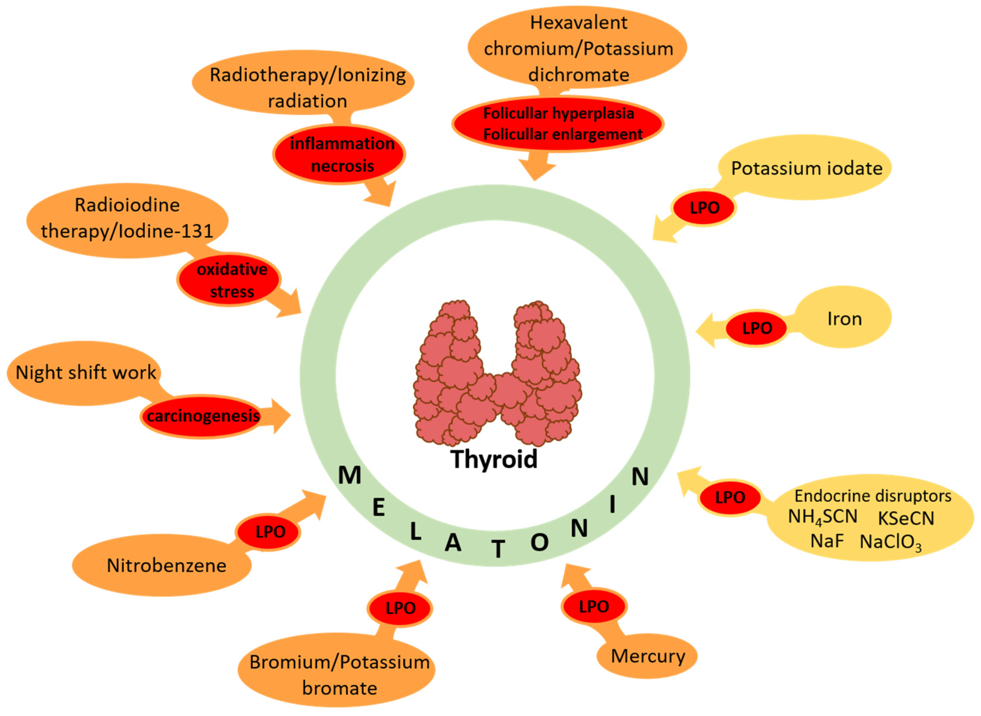 Cancers 16 01646 g005